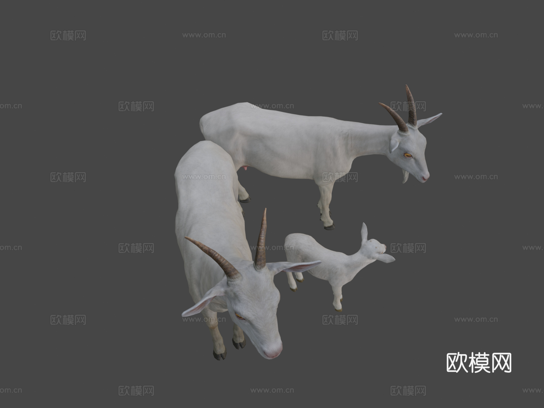 山羊家族3d模型