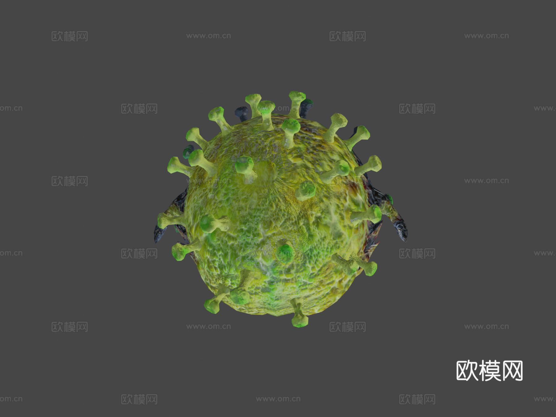 病毒_053d模型
