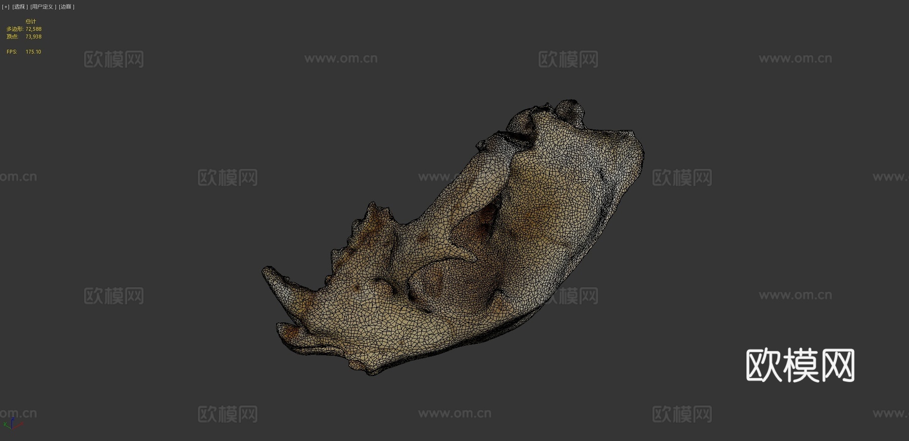 D模型美洲豹头骨3d模型