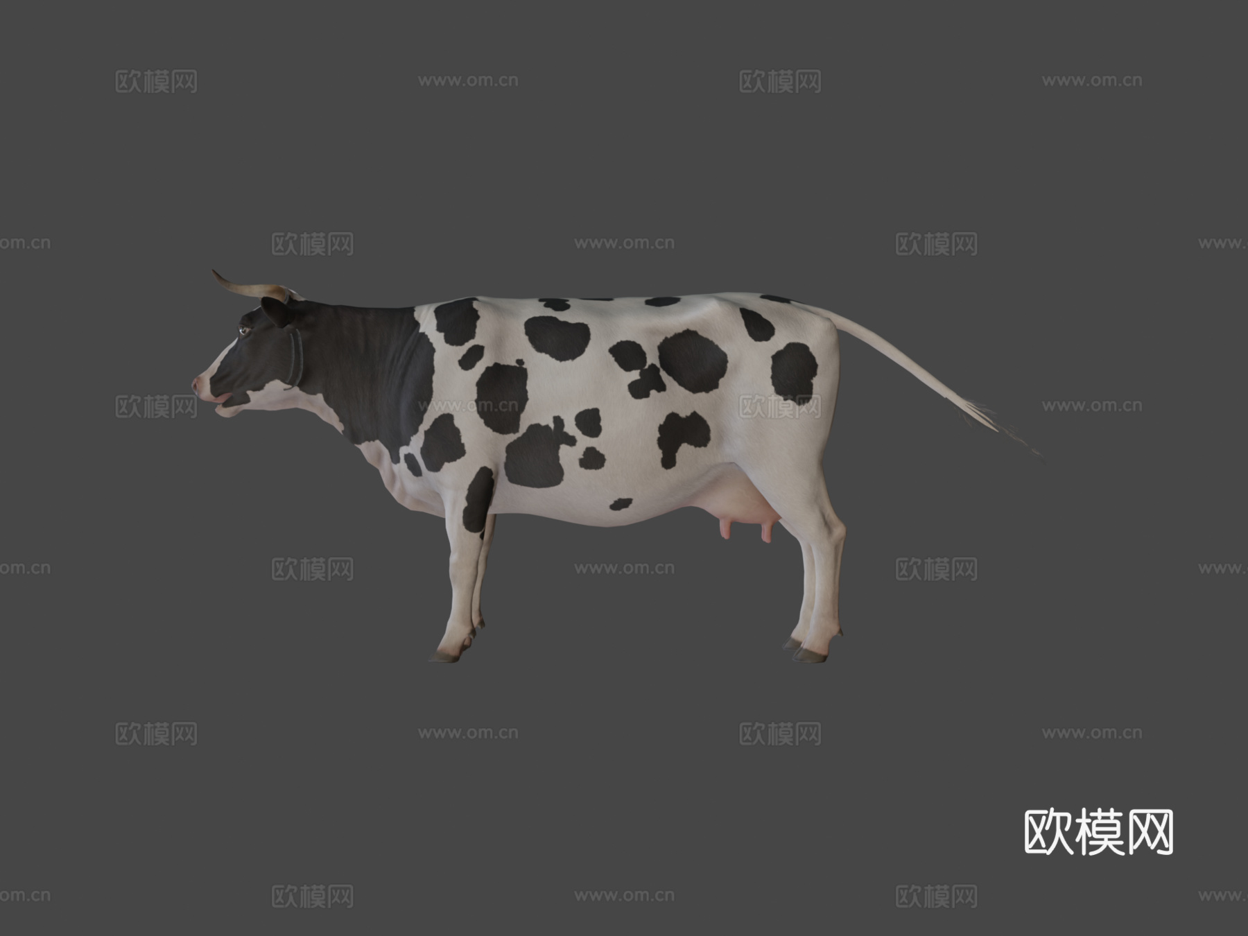 奶牛动画第二版3d模型