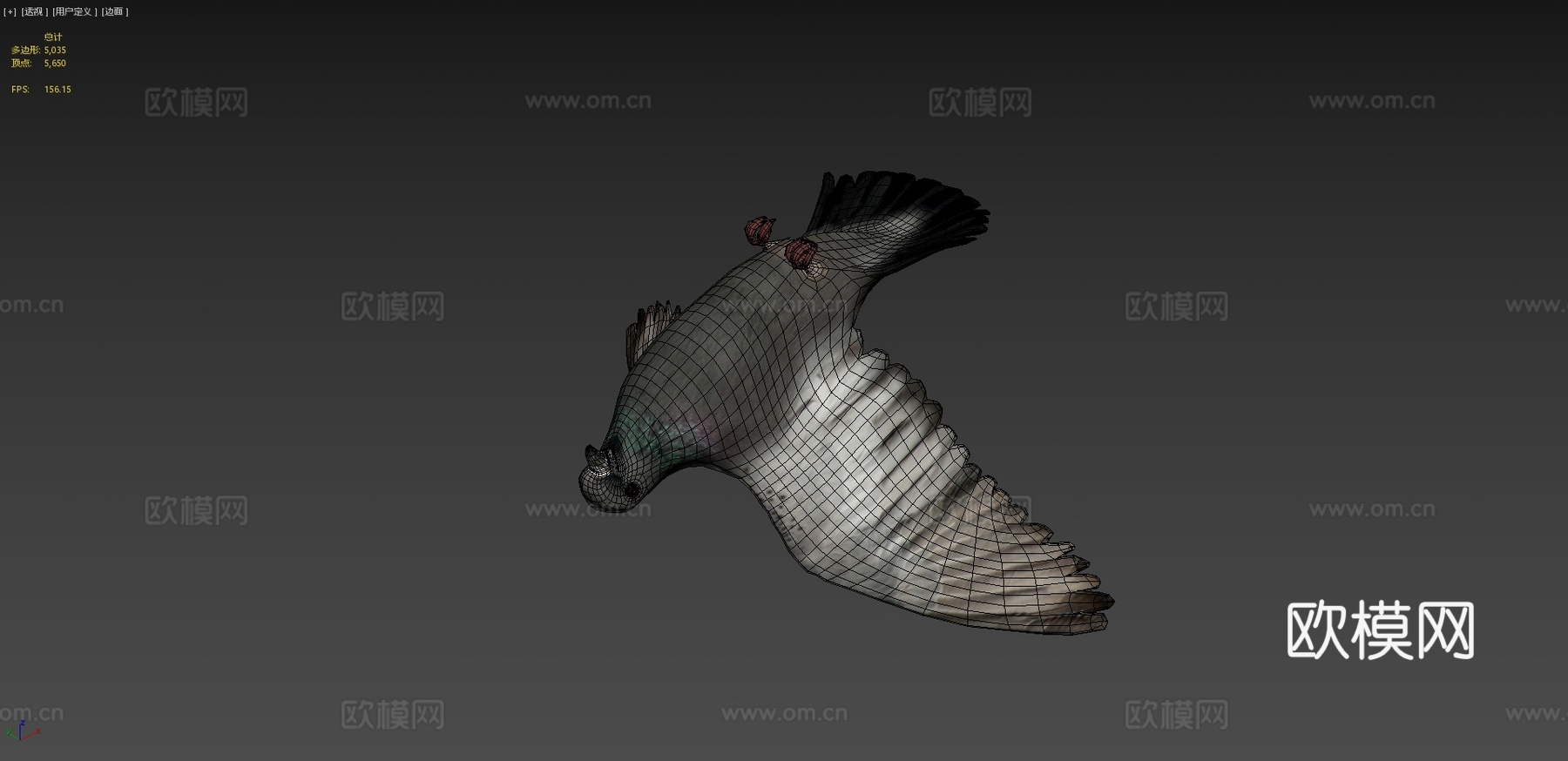 鸽子3d模型