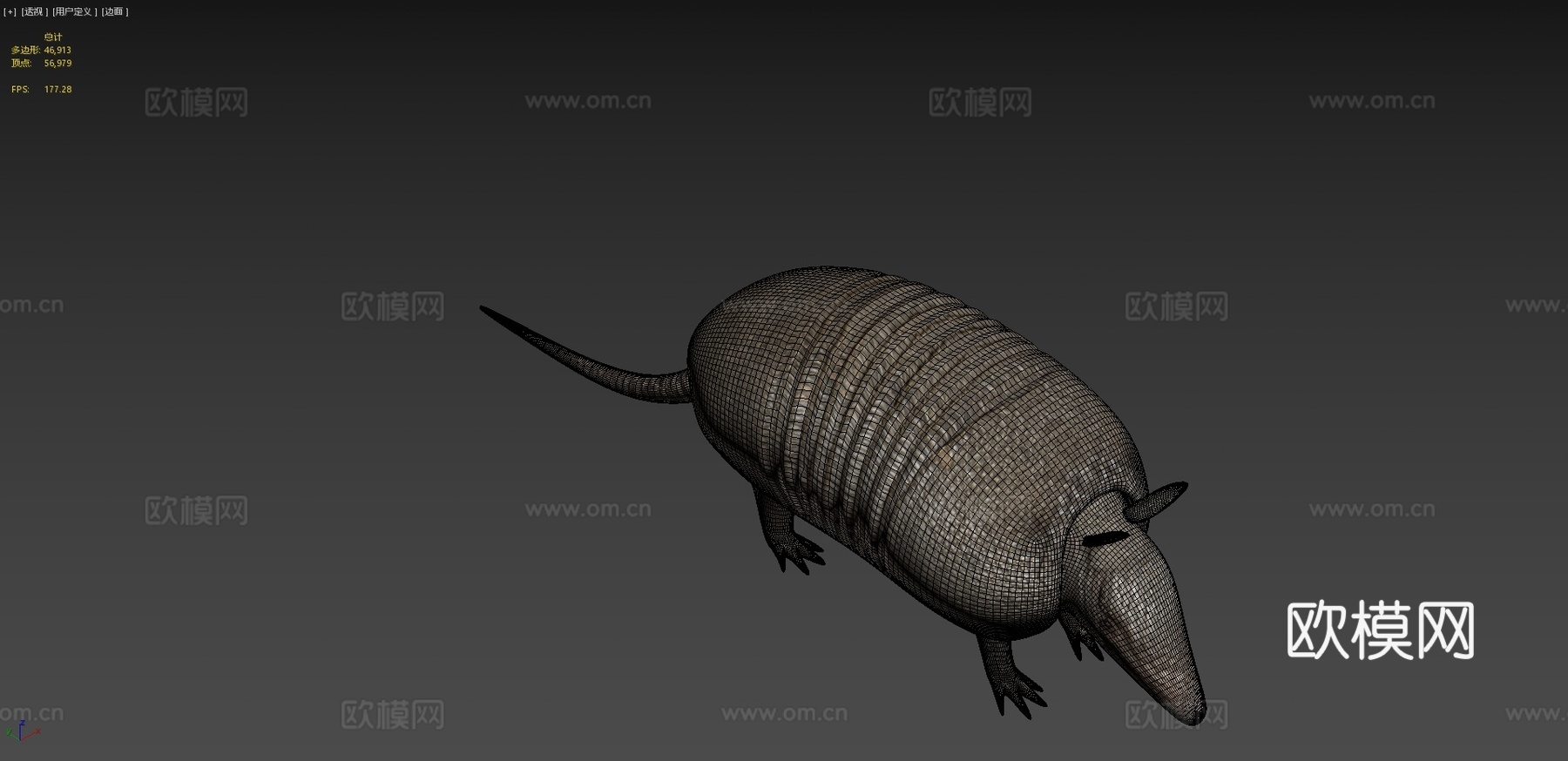 犰狳3d模型