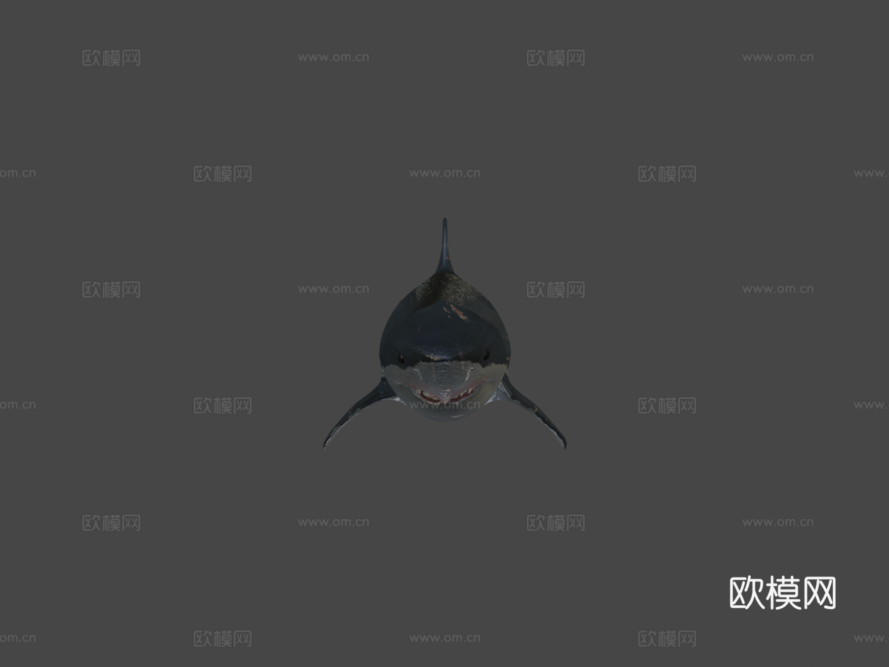 巨齿鲨3d模型