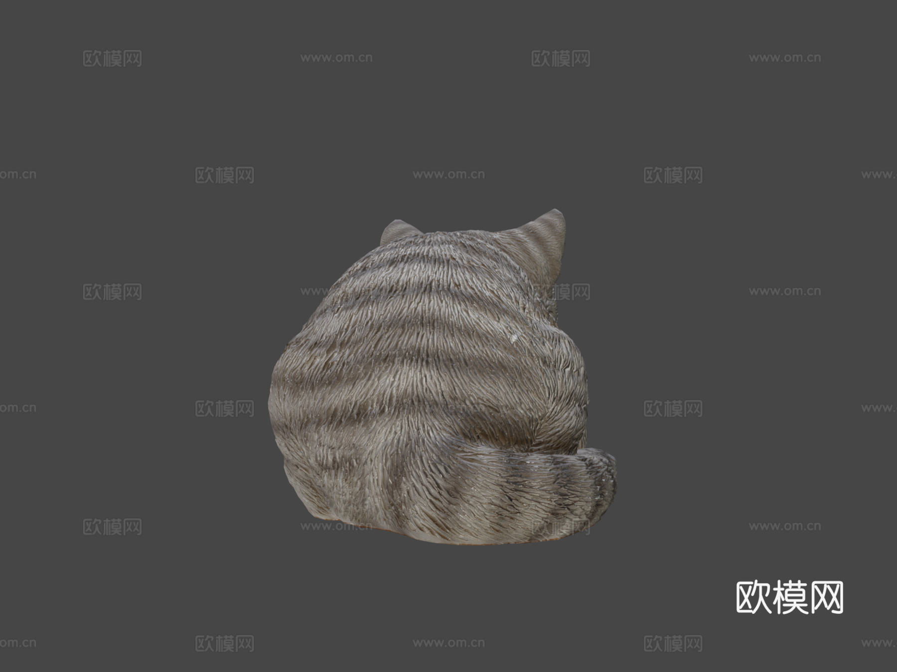 打盹猫3d模型