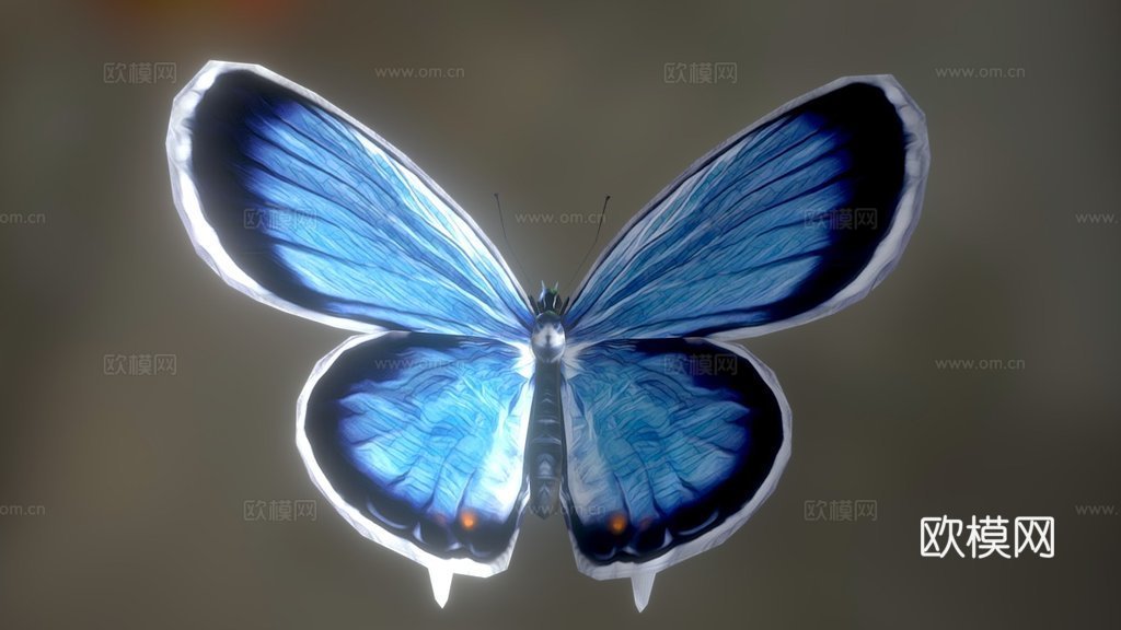 东方尾蓝蝶3d模型