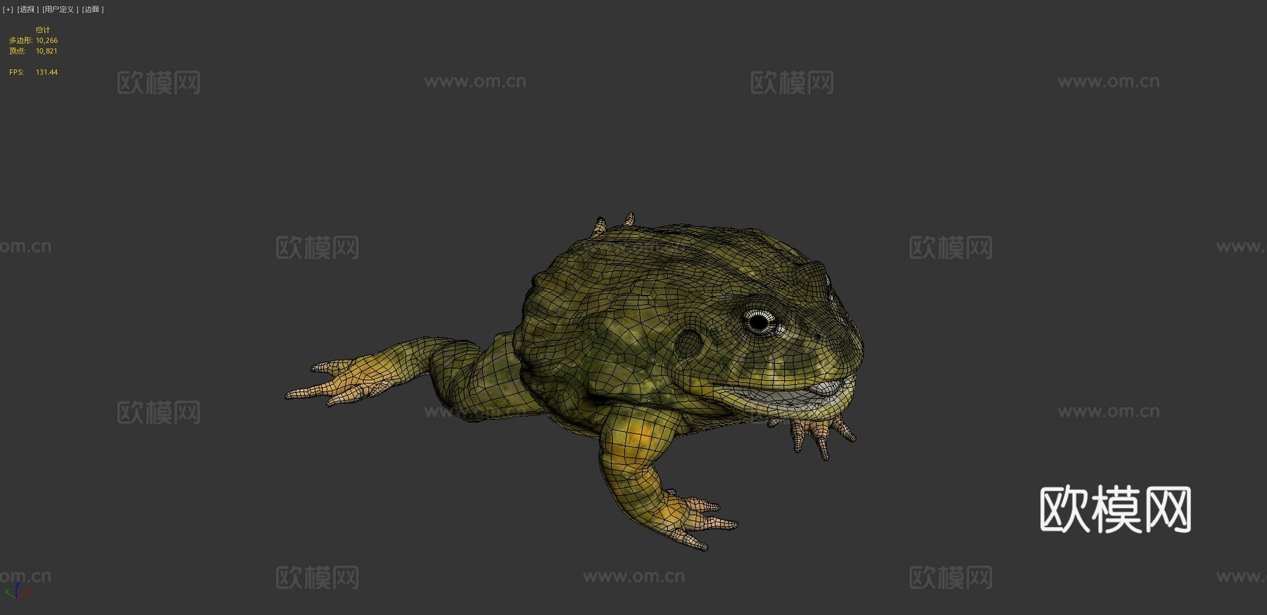 非洲牛蛙3d模型