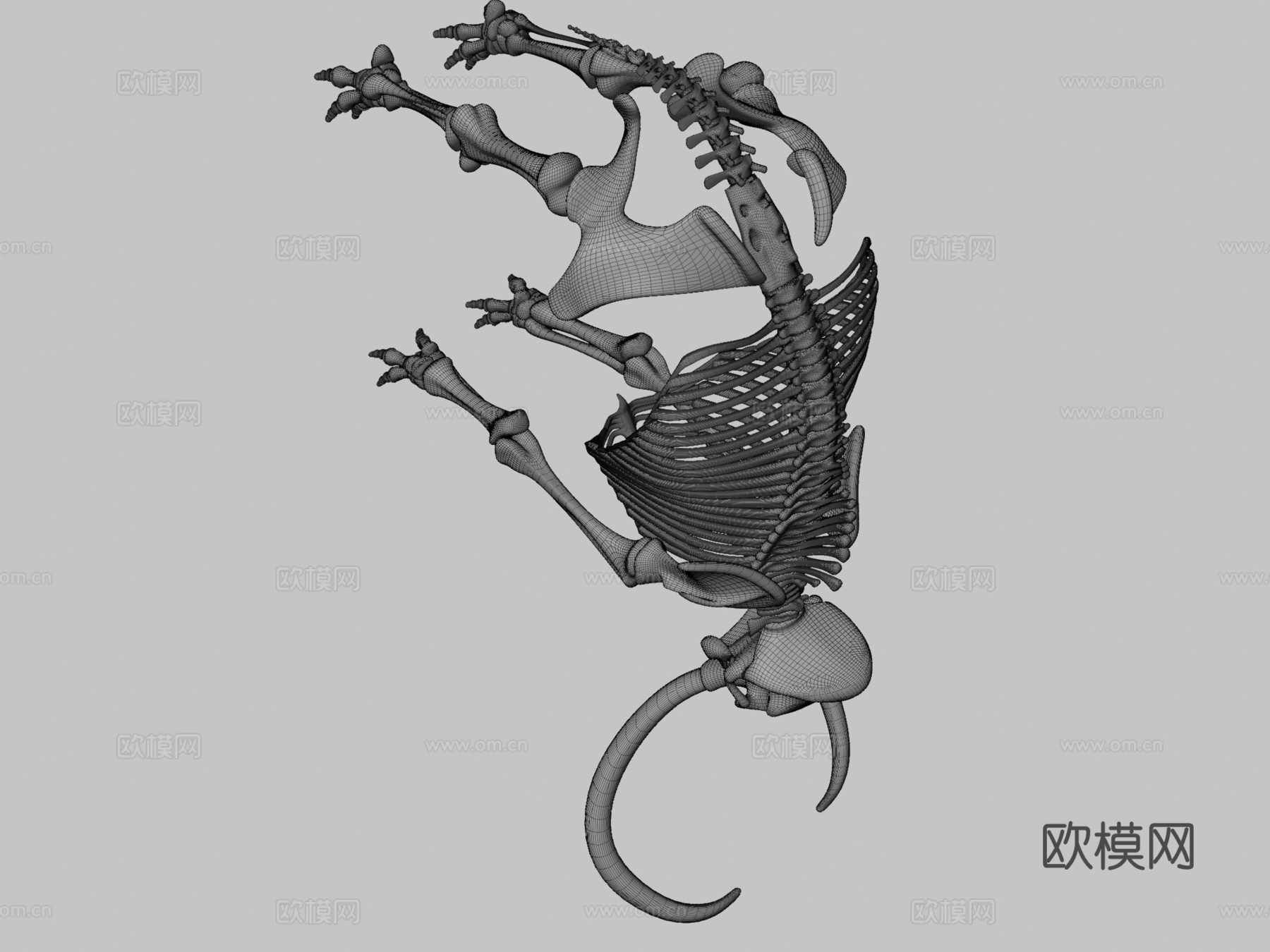 猛犸象骨架3d模型