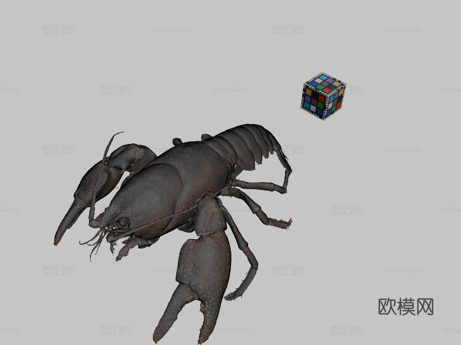 CC0日本蝲蛄?♂日本蝲蛄，日本种3d模型
