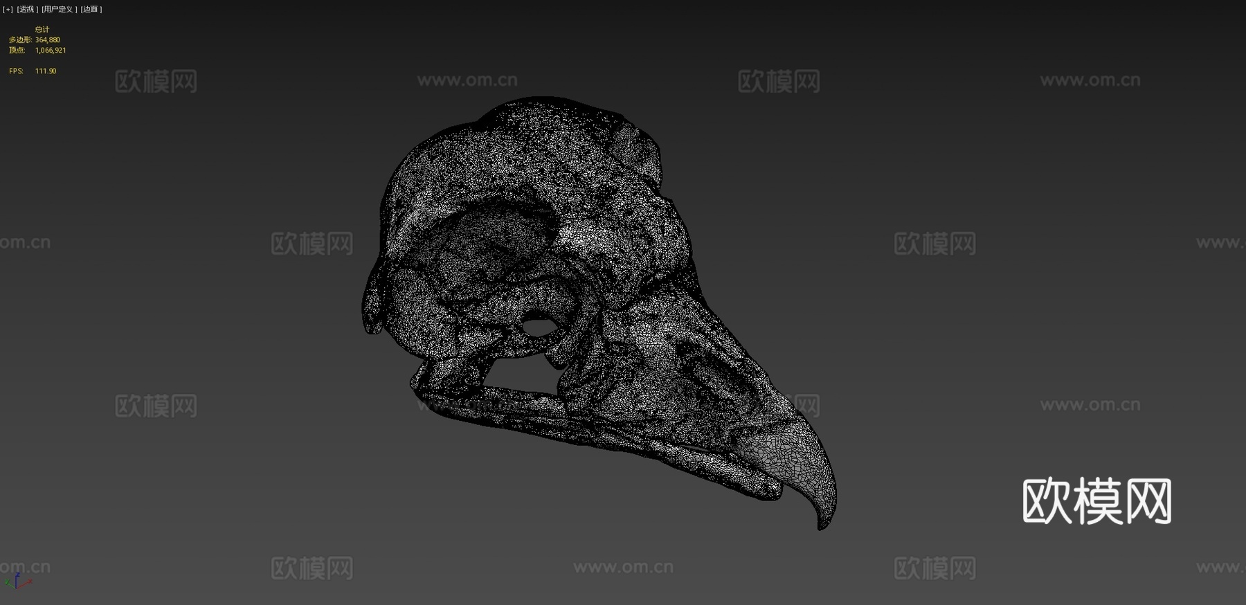 王秃鹫头骨3d模型