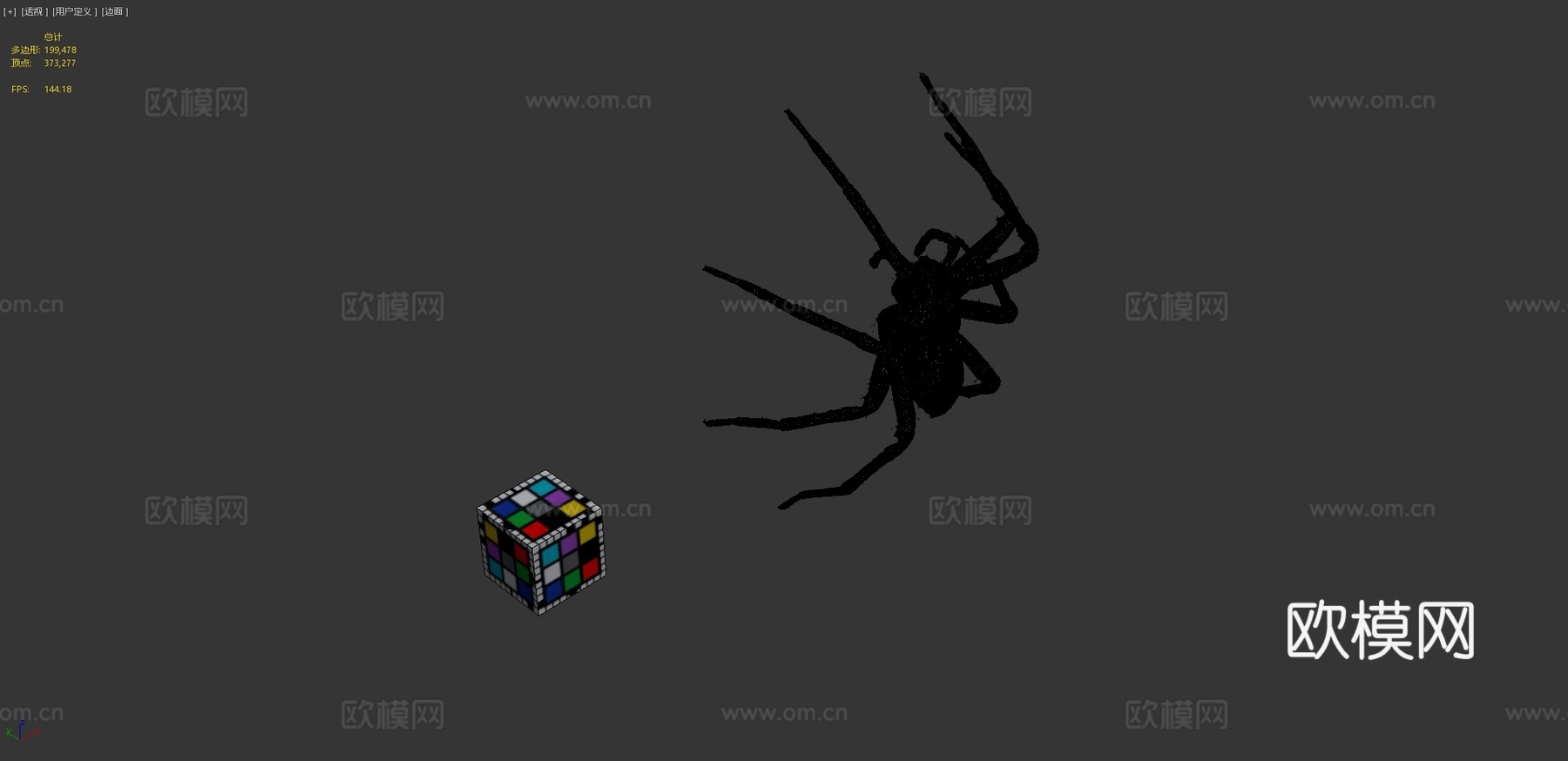 CC0菊斑跑蛛?️钓鱼蜘蛛3d模型
