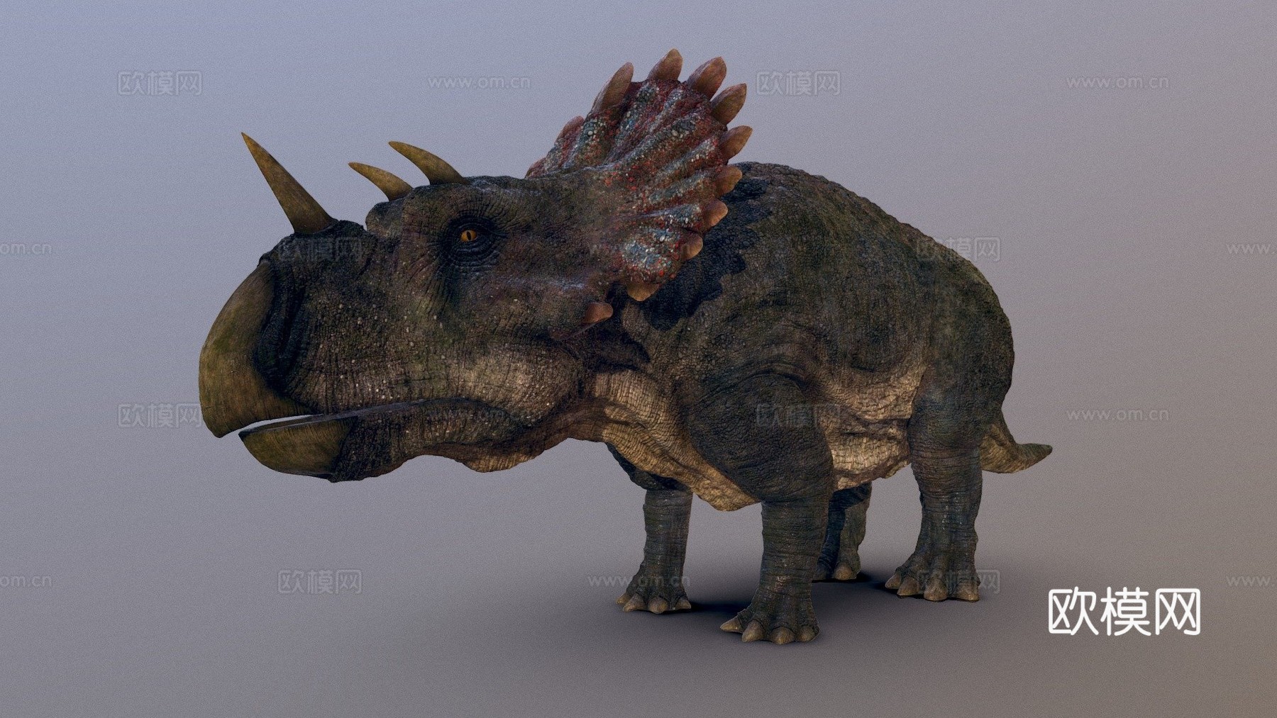 帝王角龙3d模型