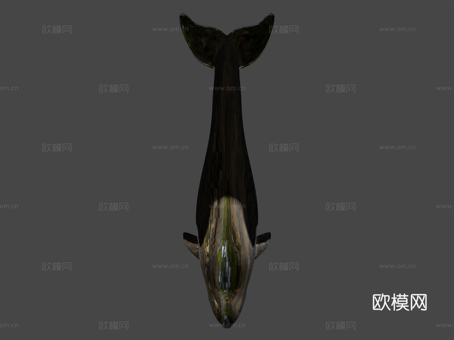白鲸3d模型