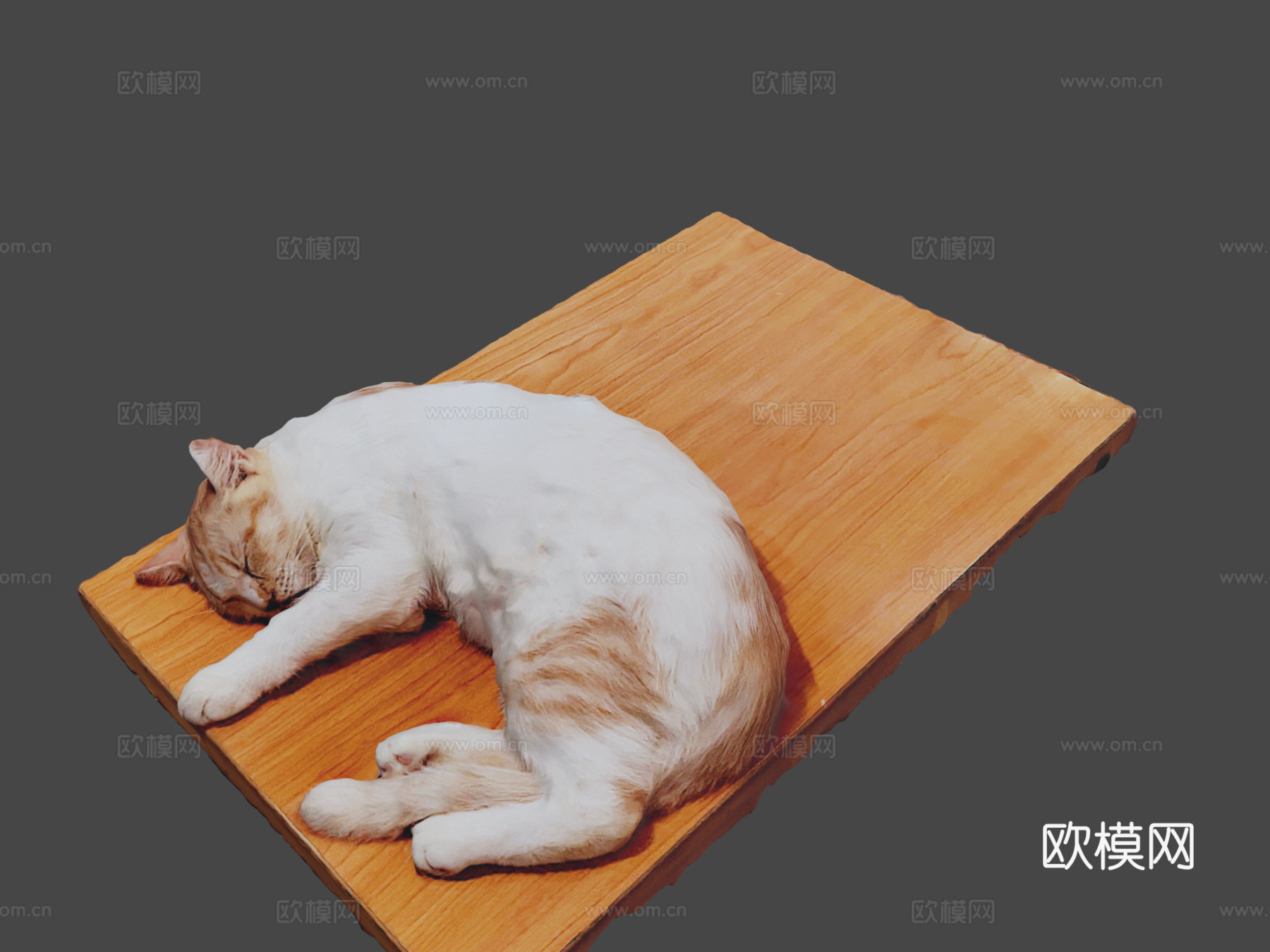 猫咪比比3d模型