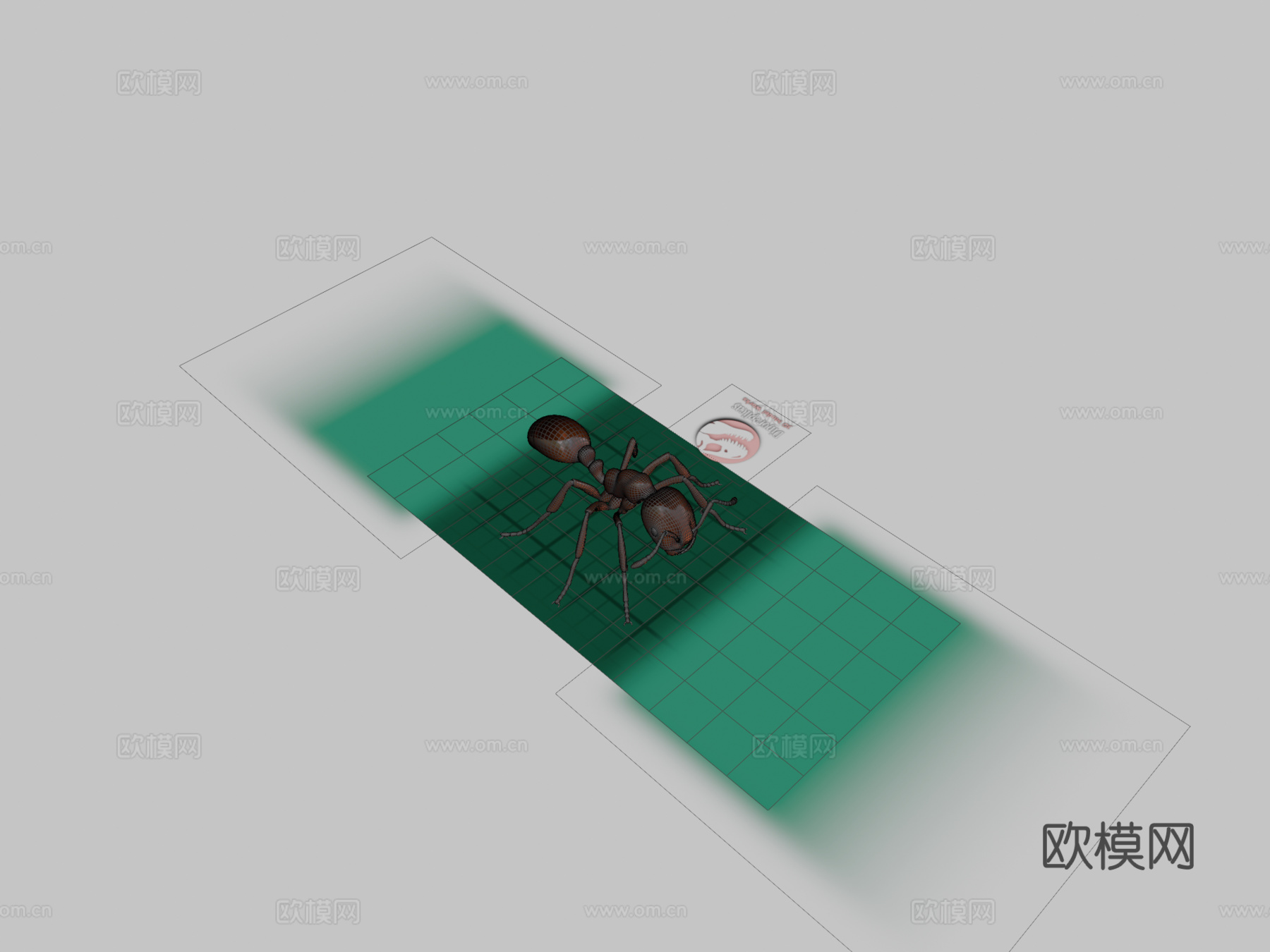 红火蚁-带动画3d模型