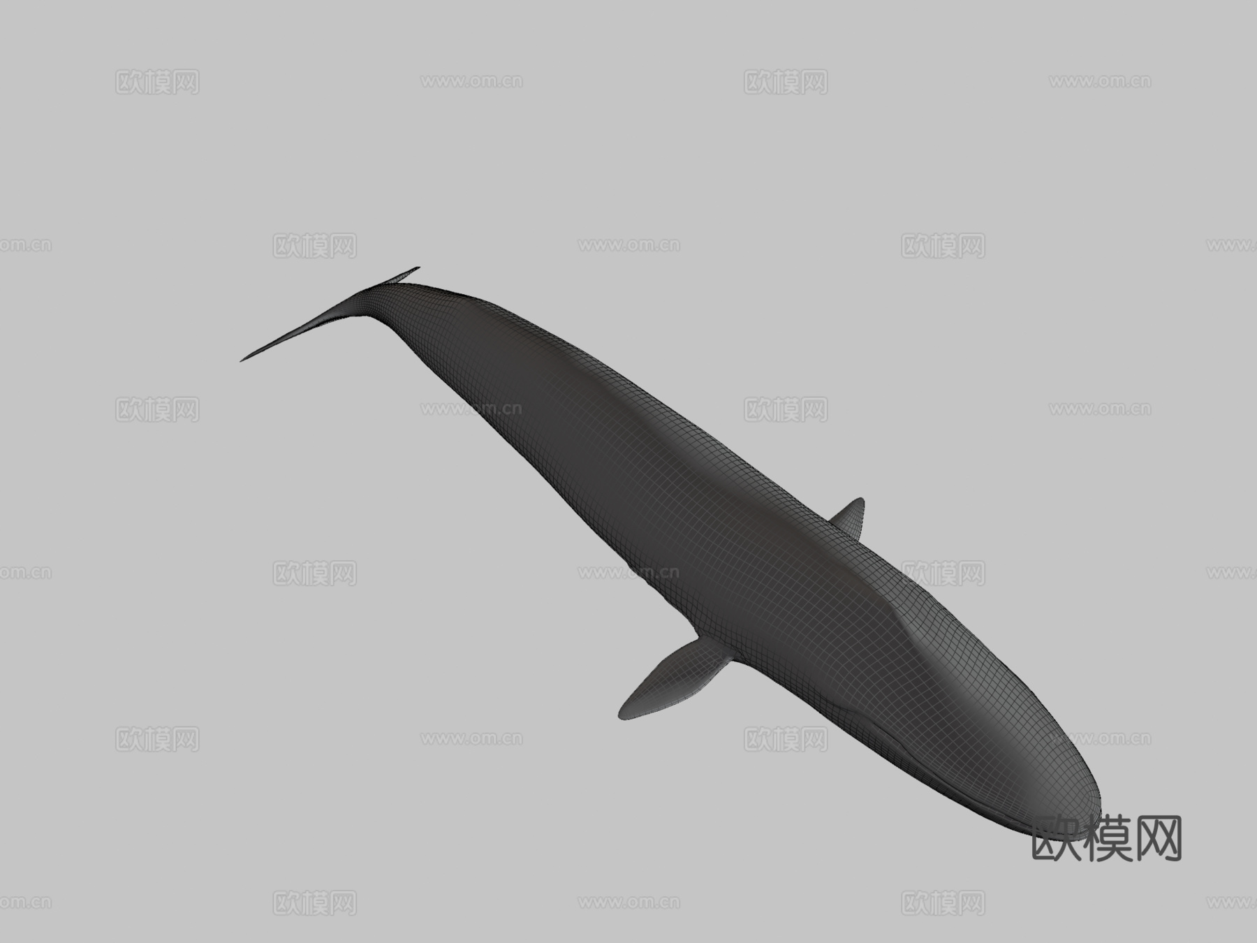 蓝鲸su模型下载（渲染图3）