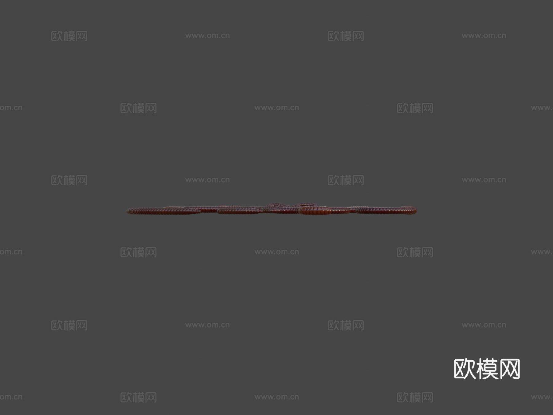 蚯蚓绑定PBR低多边形3d模型