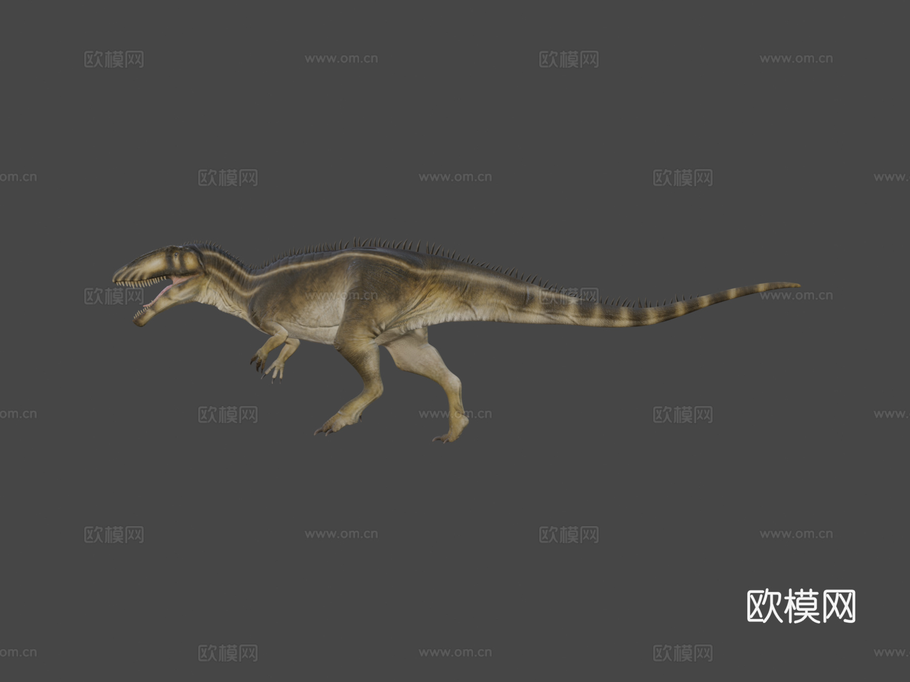 撒哈拉鲨齿龙3d模型