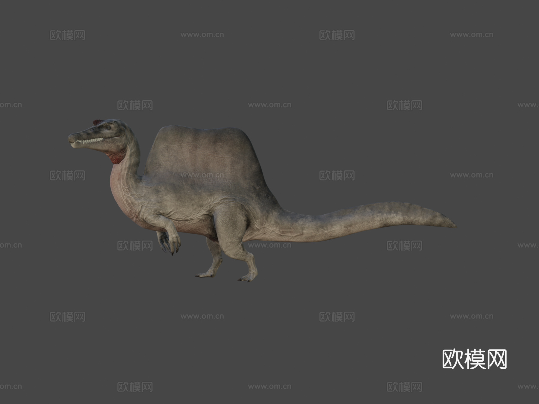 埃及棘龙3d模型
