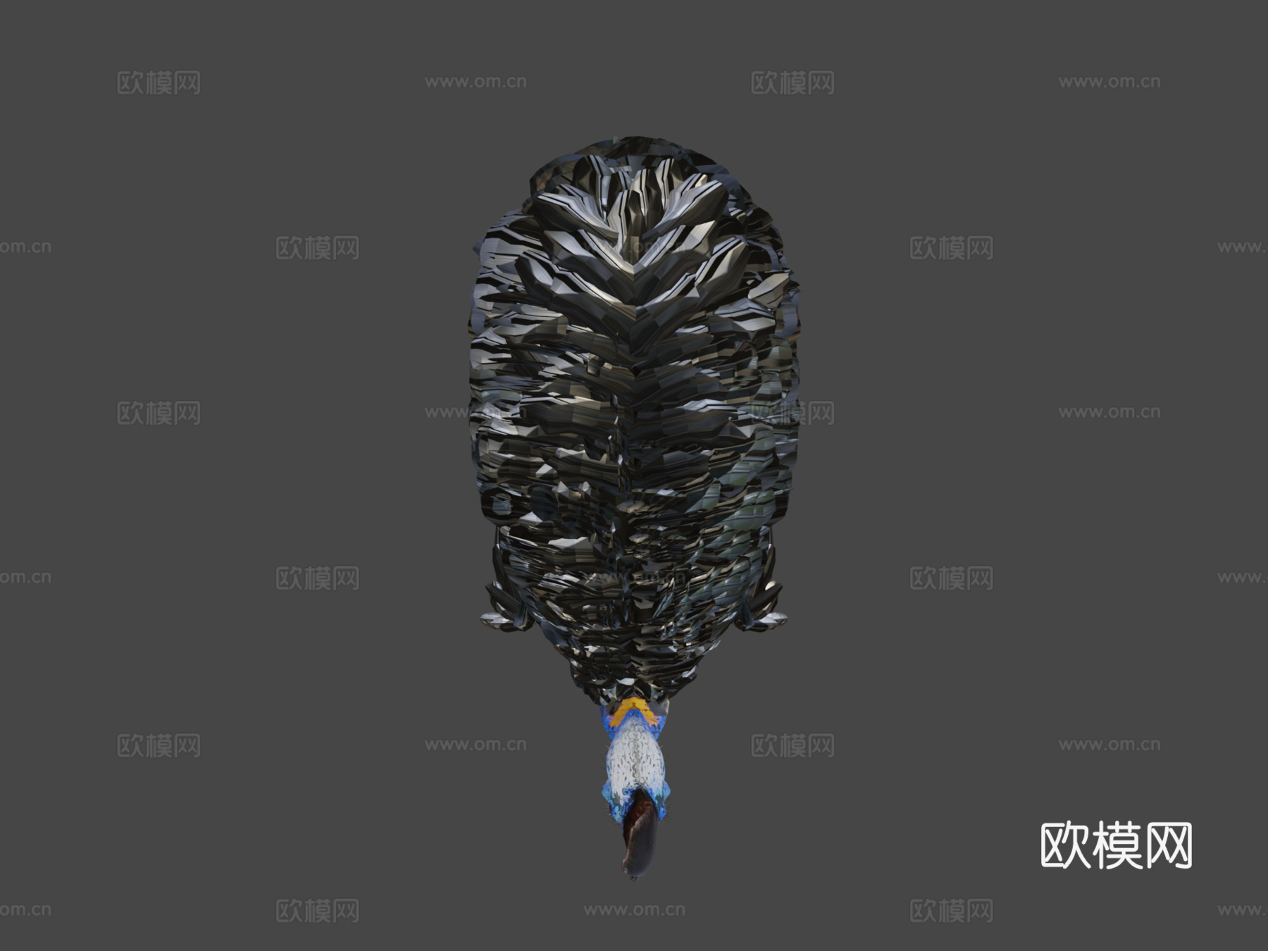 南方食火鸡su模型下载（渲染图6）