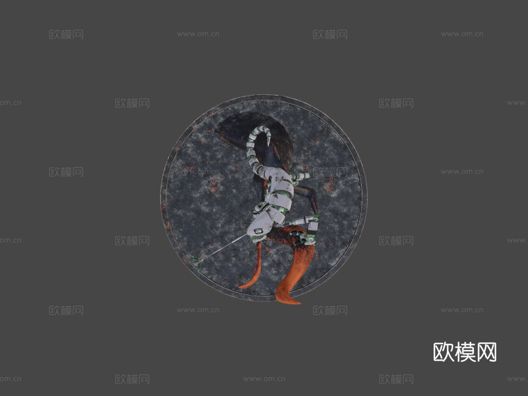 变色龙机器人3d模型
