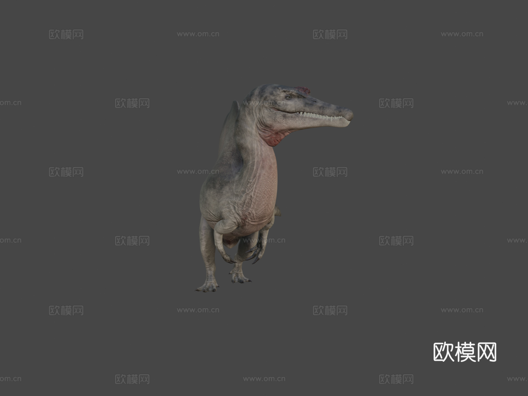 埃及棘龙3d模型