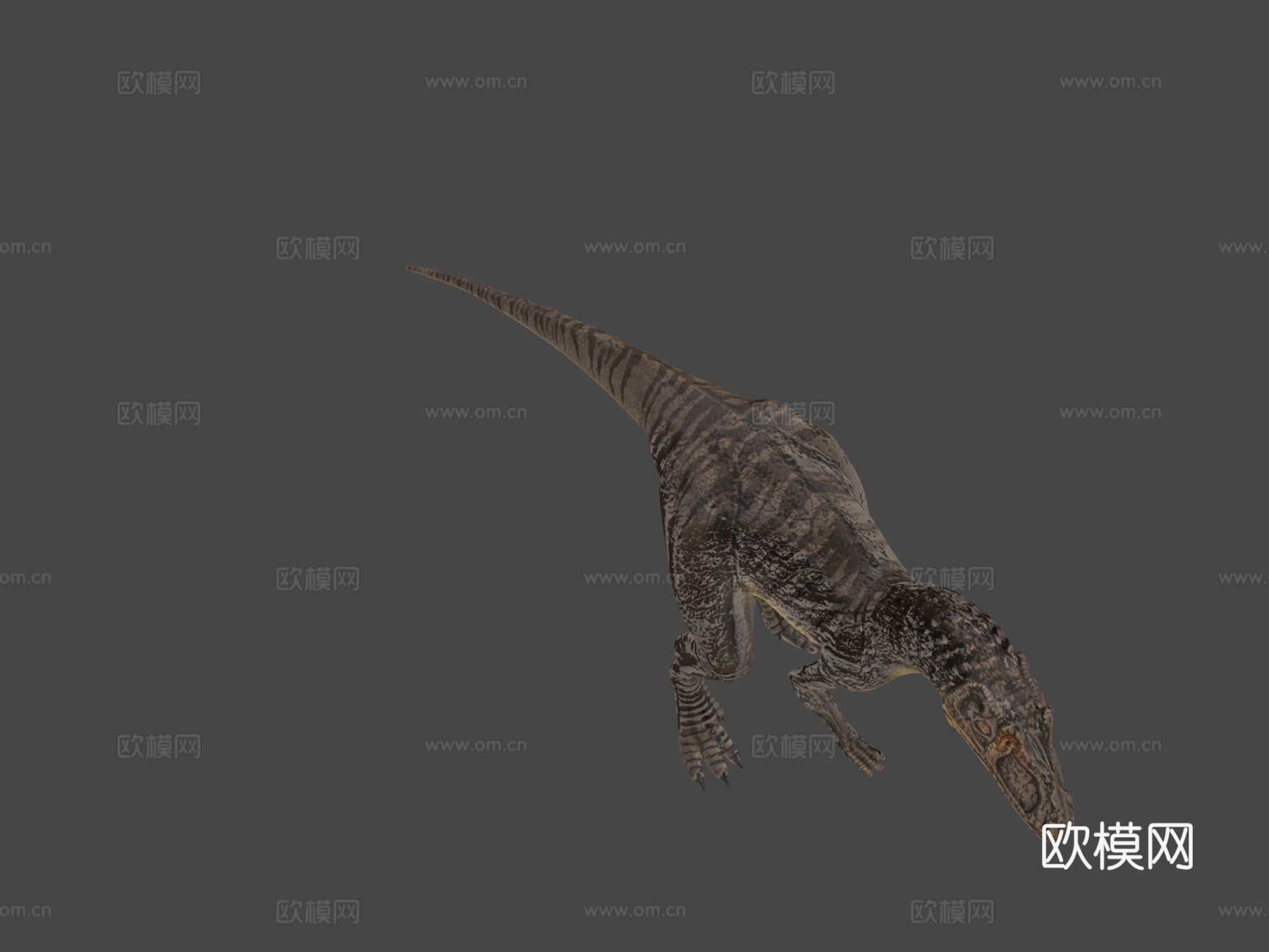 异特龙3d模型