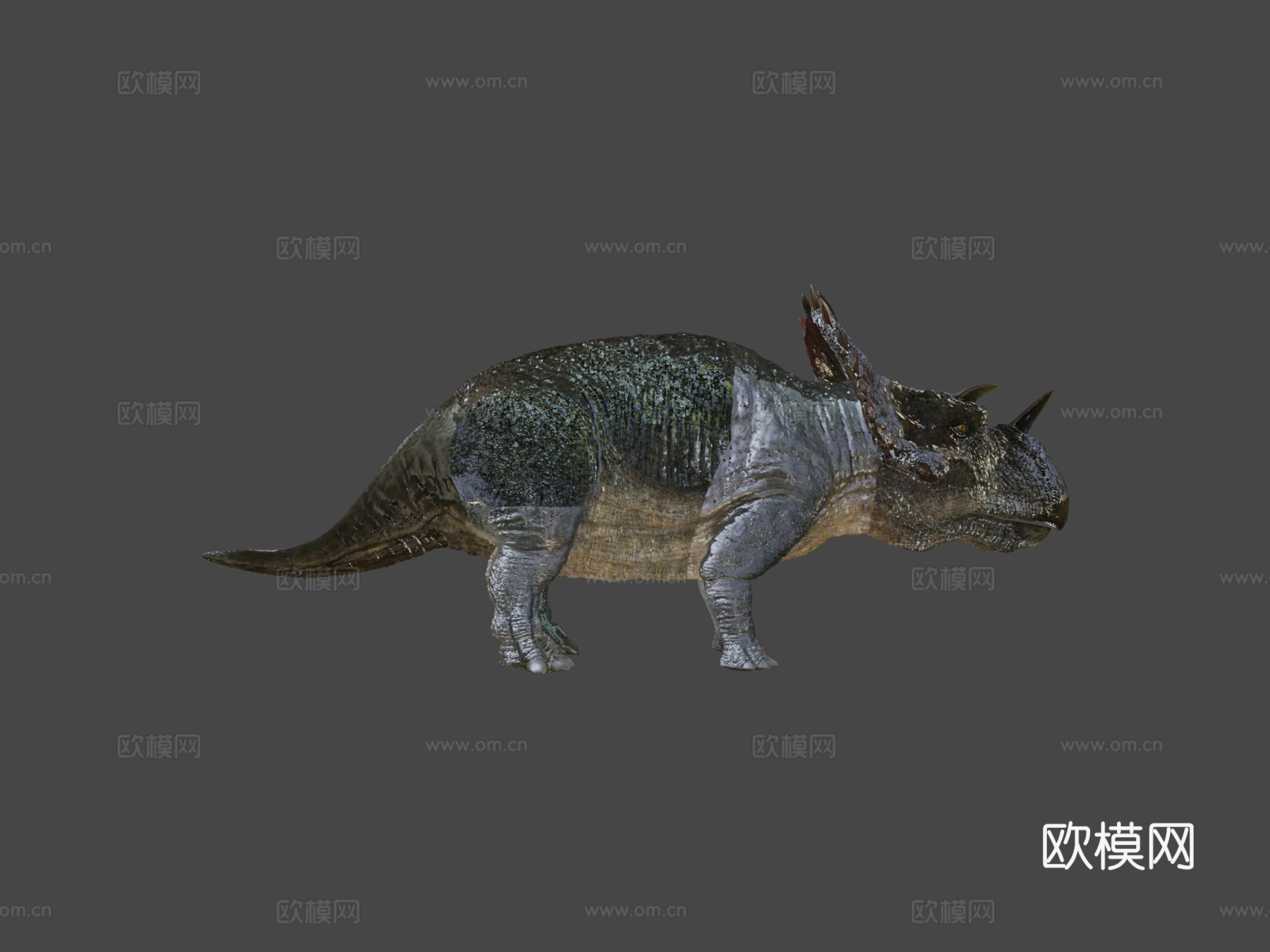 帝王角龙3d模型