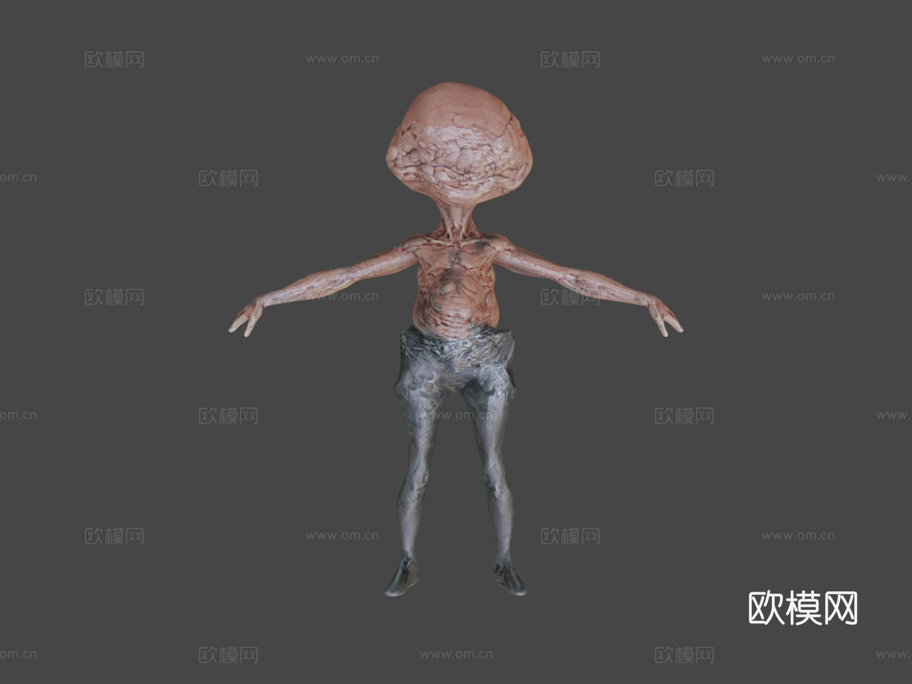 我信赖的孩子3d模型