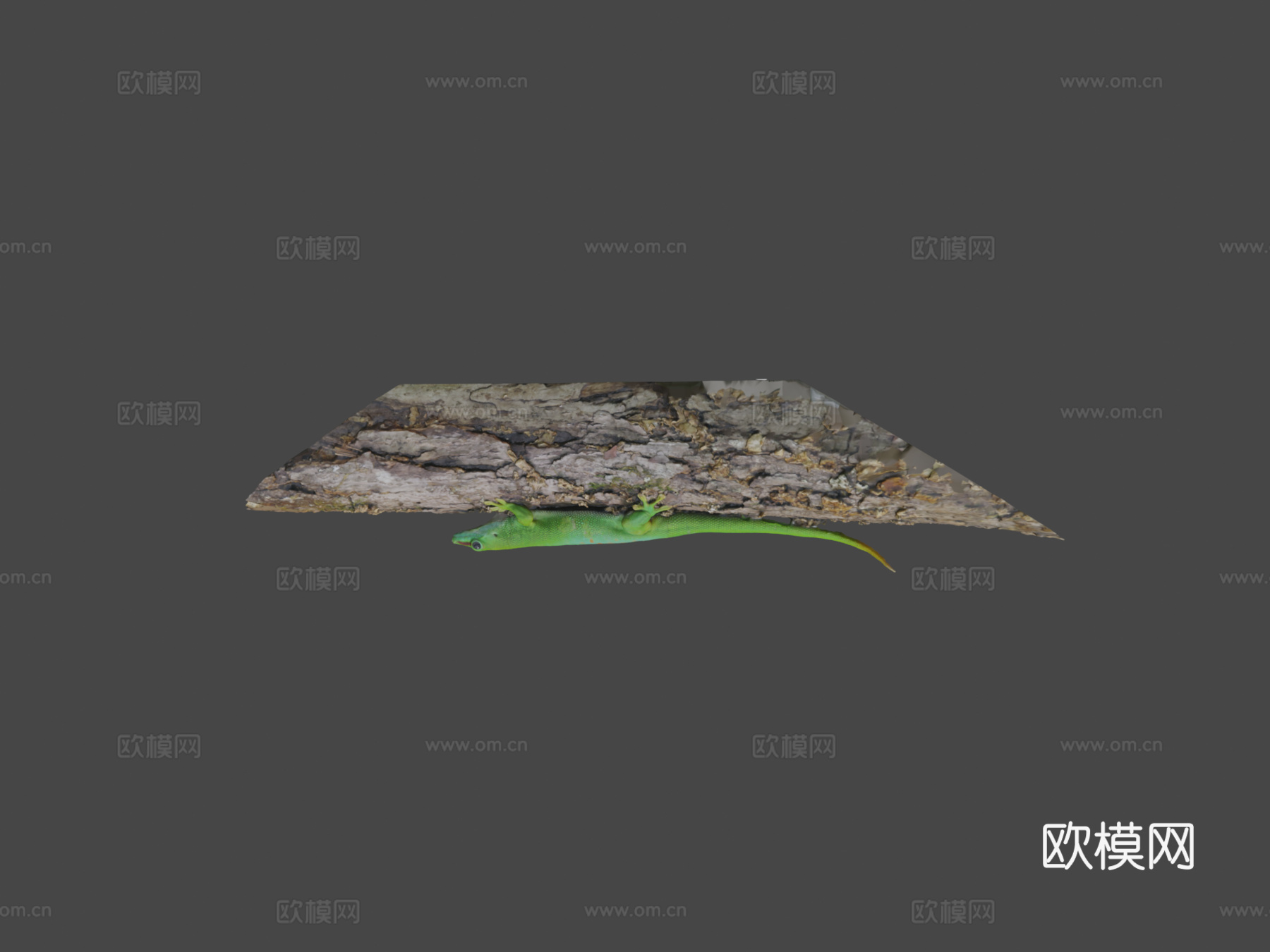 模型43-巨型日行壁虎3d模型