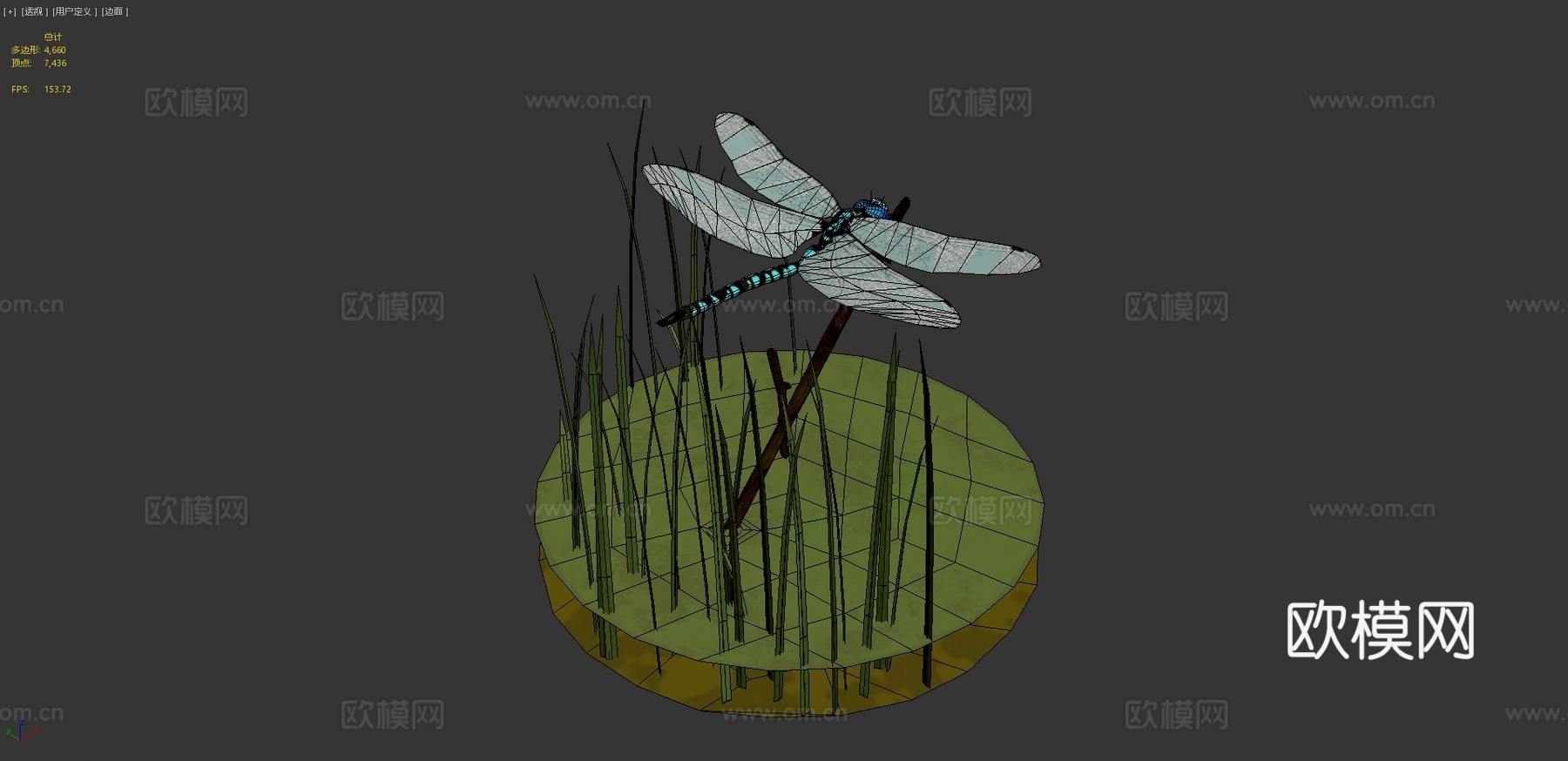 蓝蜻蜓3d模型