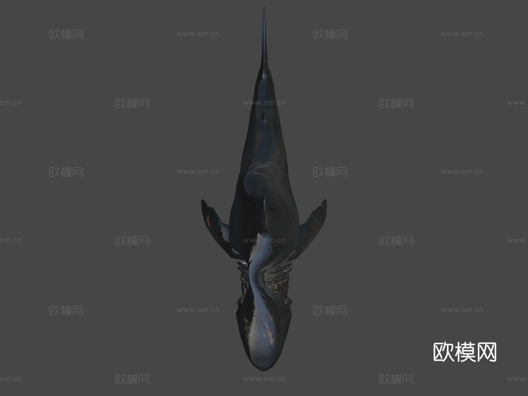 巨齿鲨3d模型