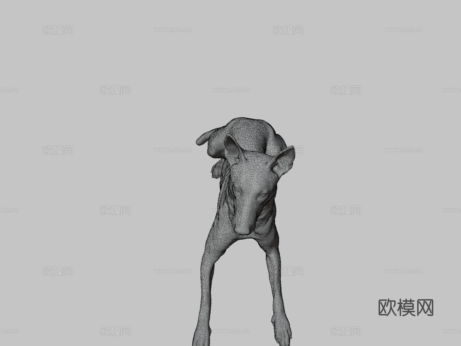 比利时玛利诺犬3d模型