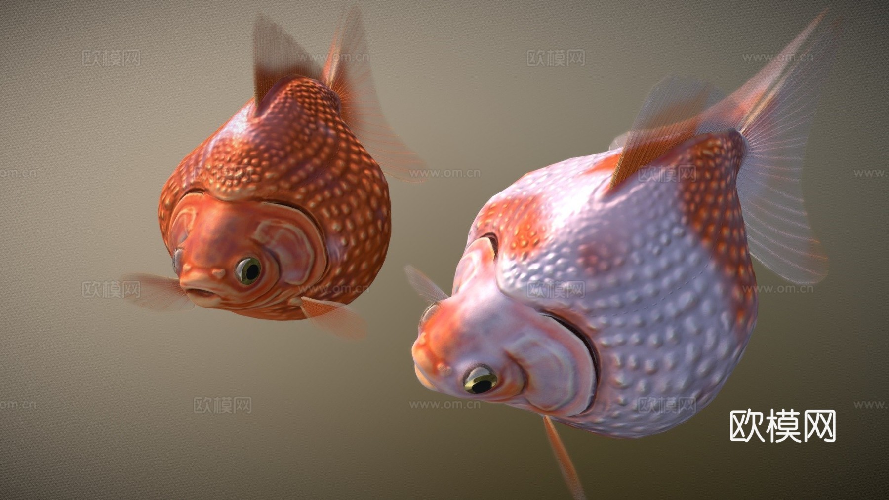 珍珠鳞金鱼3d模型