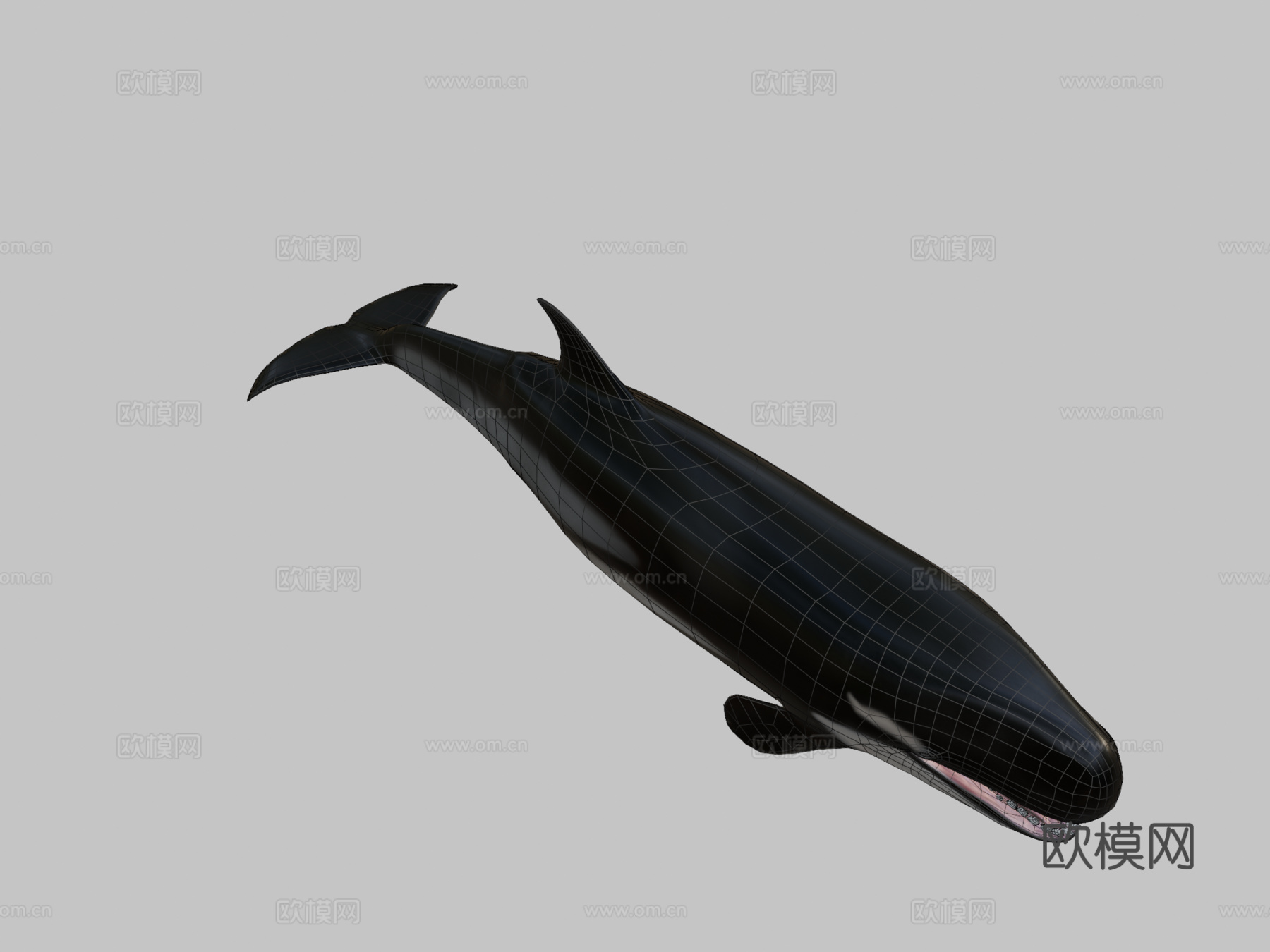 利维坦鲸3d模型