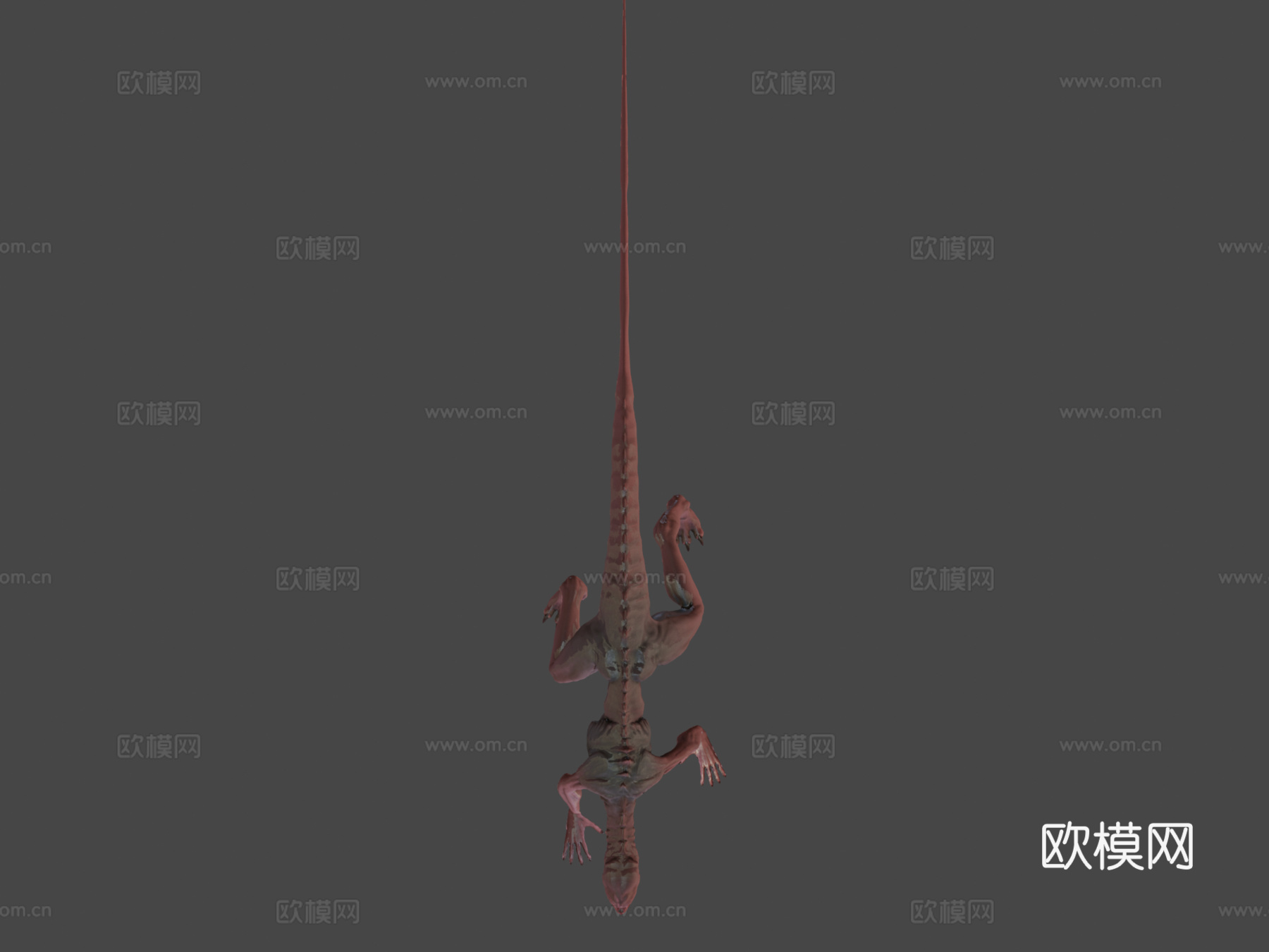 游戏就绪版埃比克斯生物3d模型