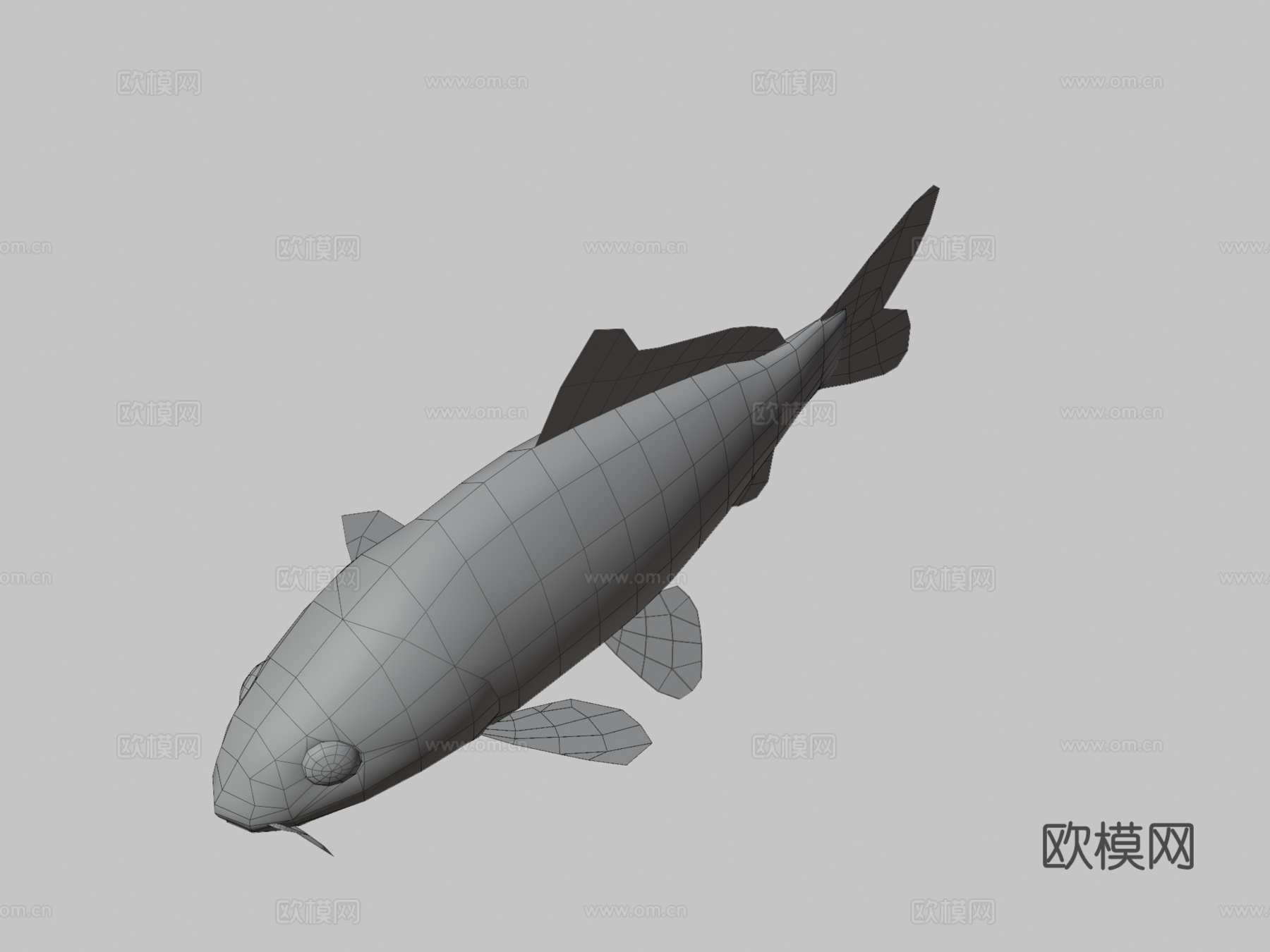 锦鲤3d模型