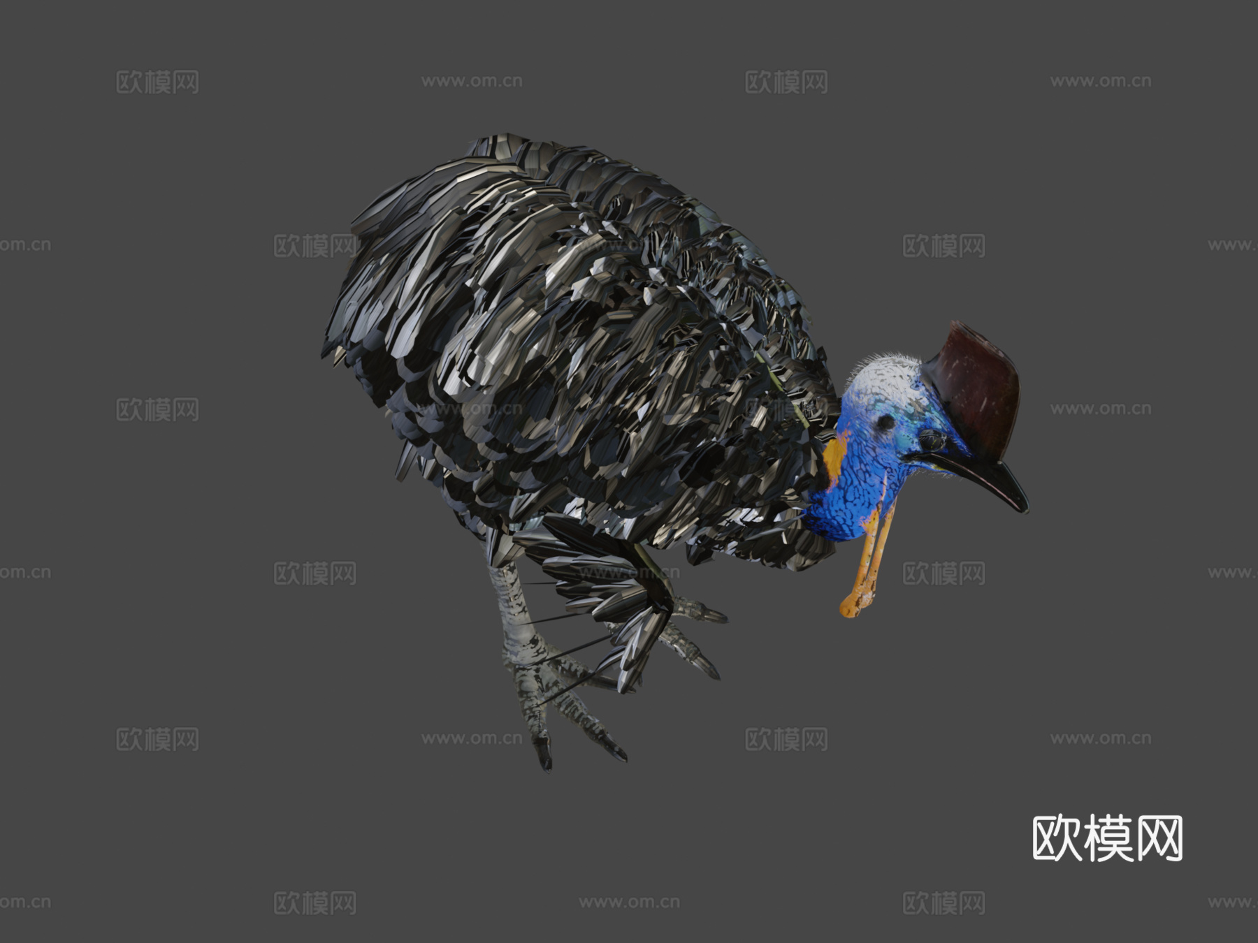 南方食火鸡su模型下载（渲染图8）