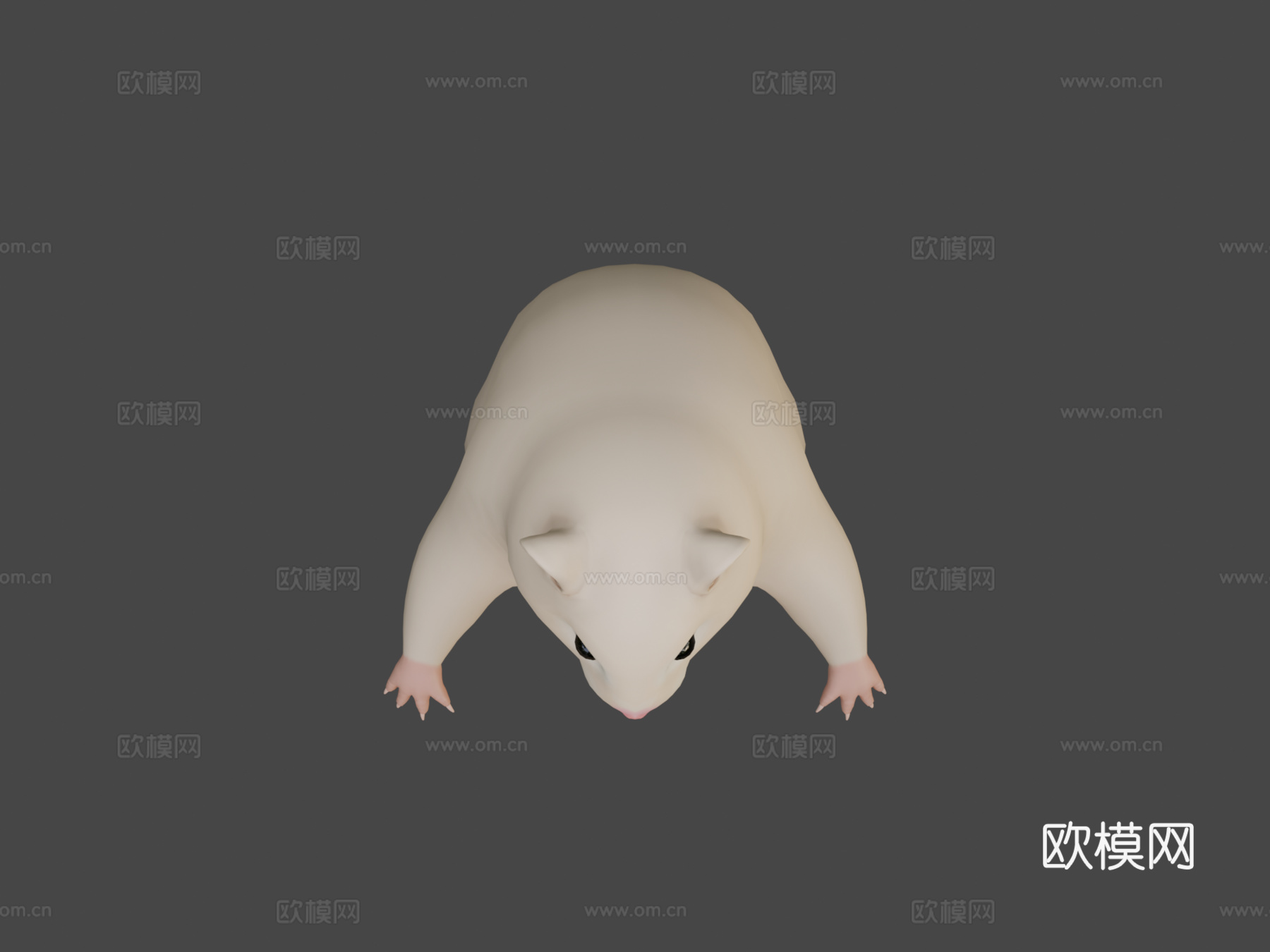 仓鼠3d模型下载（渲染图5）