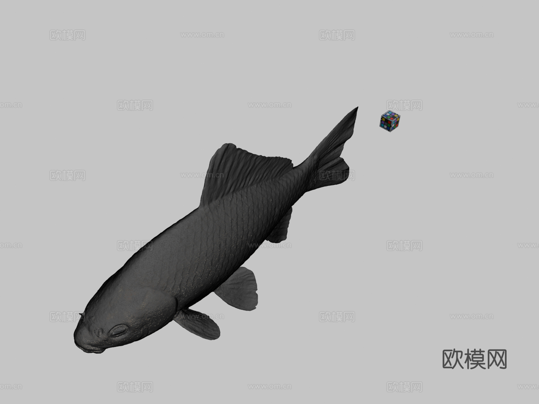 CC0银鲫鱼?鲫鱼，银鲫亚种3d模型