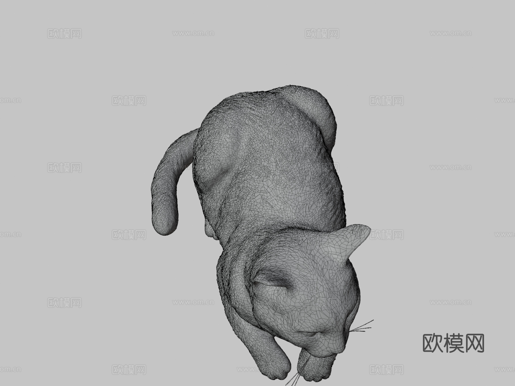 躺猫143d模型