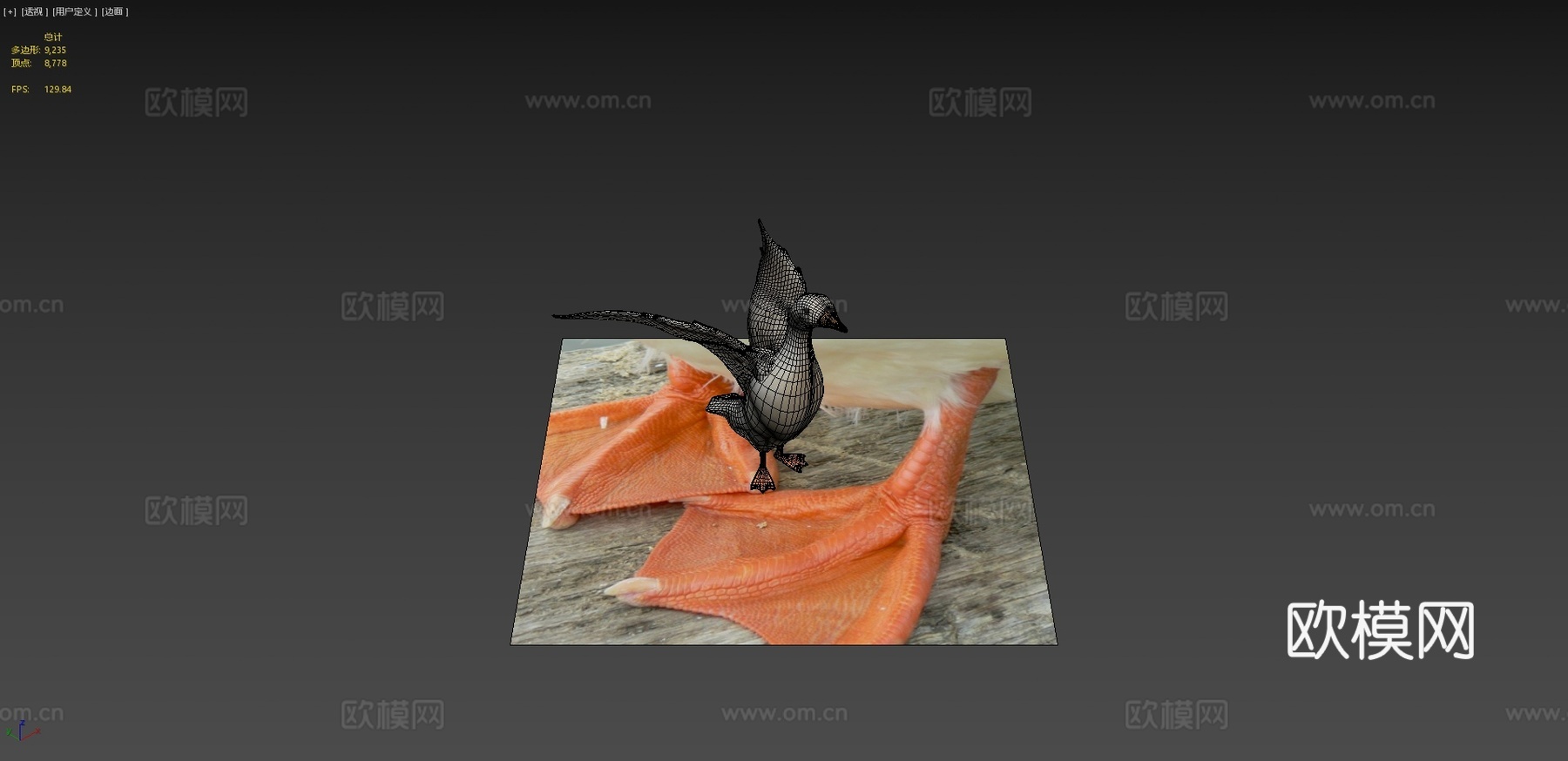 鸭子3d模型
