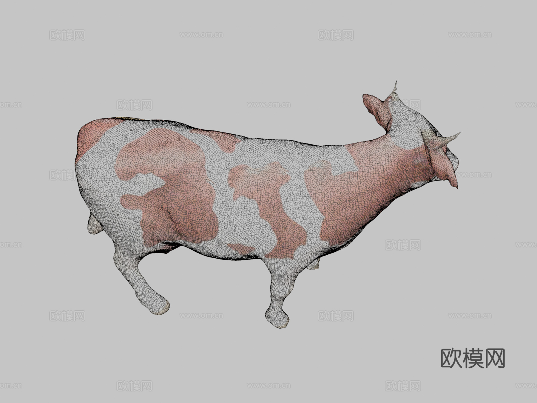 扫描奶牛3d模型