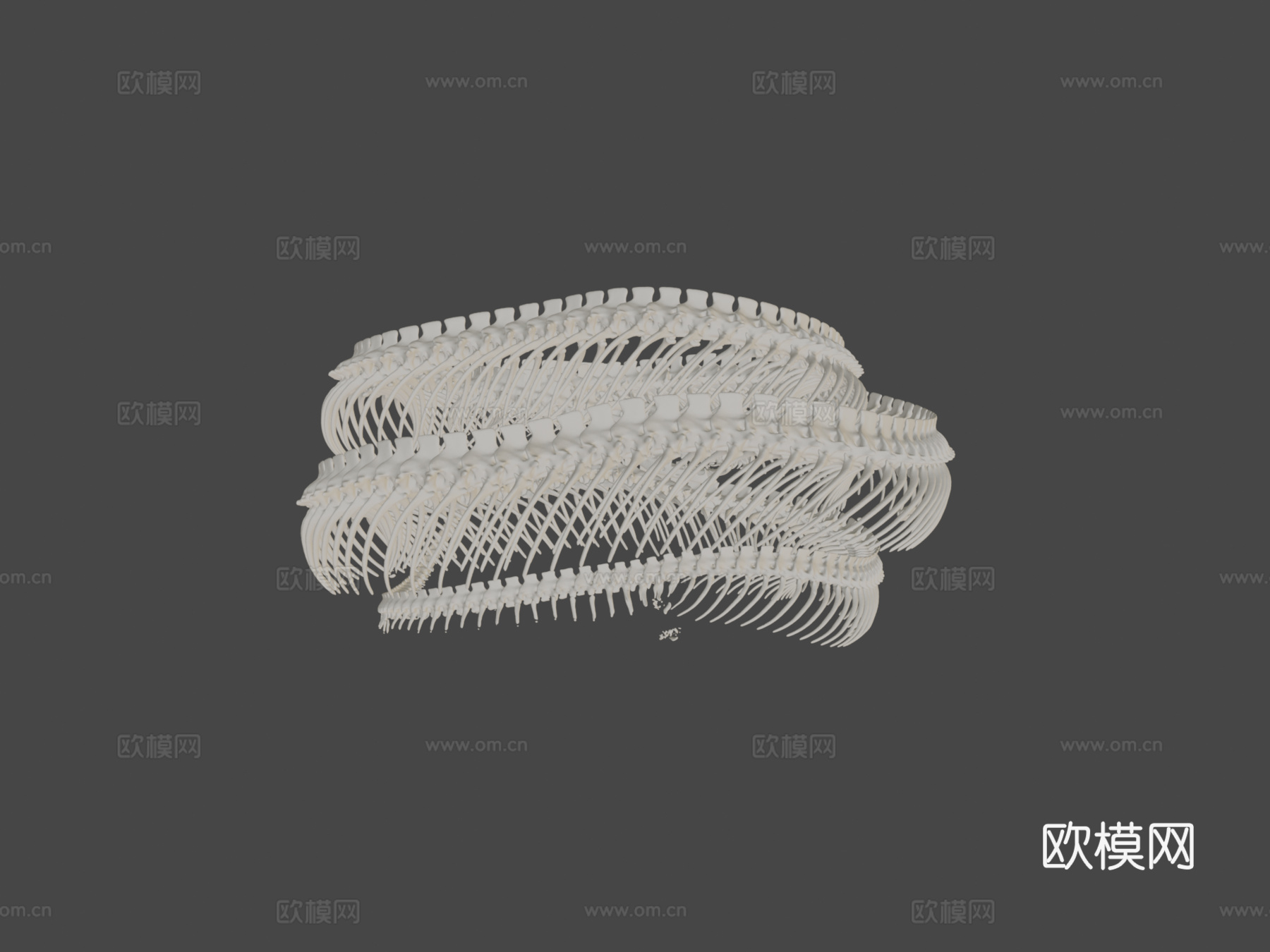 玉米蛇骨架3d模型