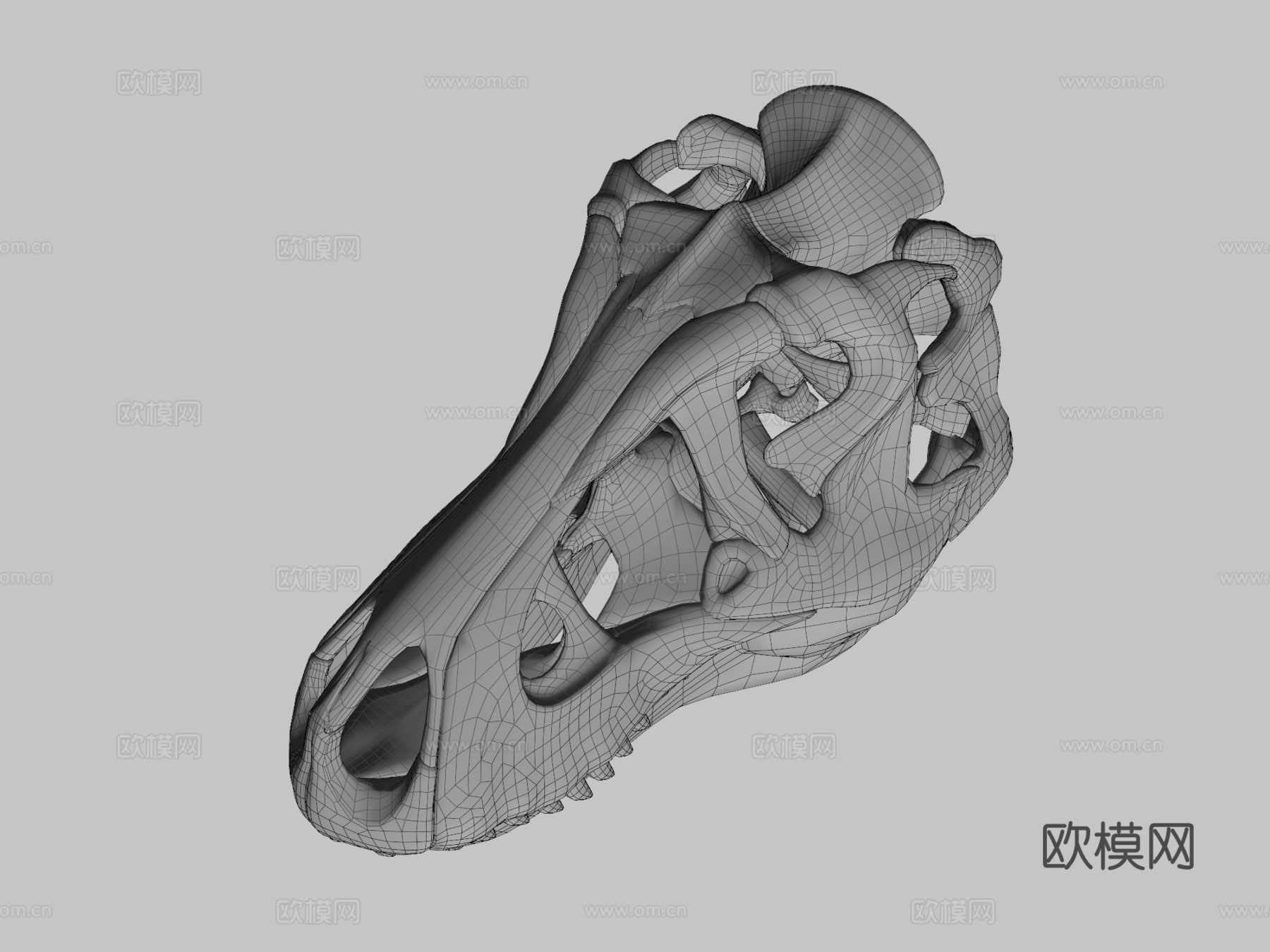 又一个霸王龙头骨3d模型