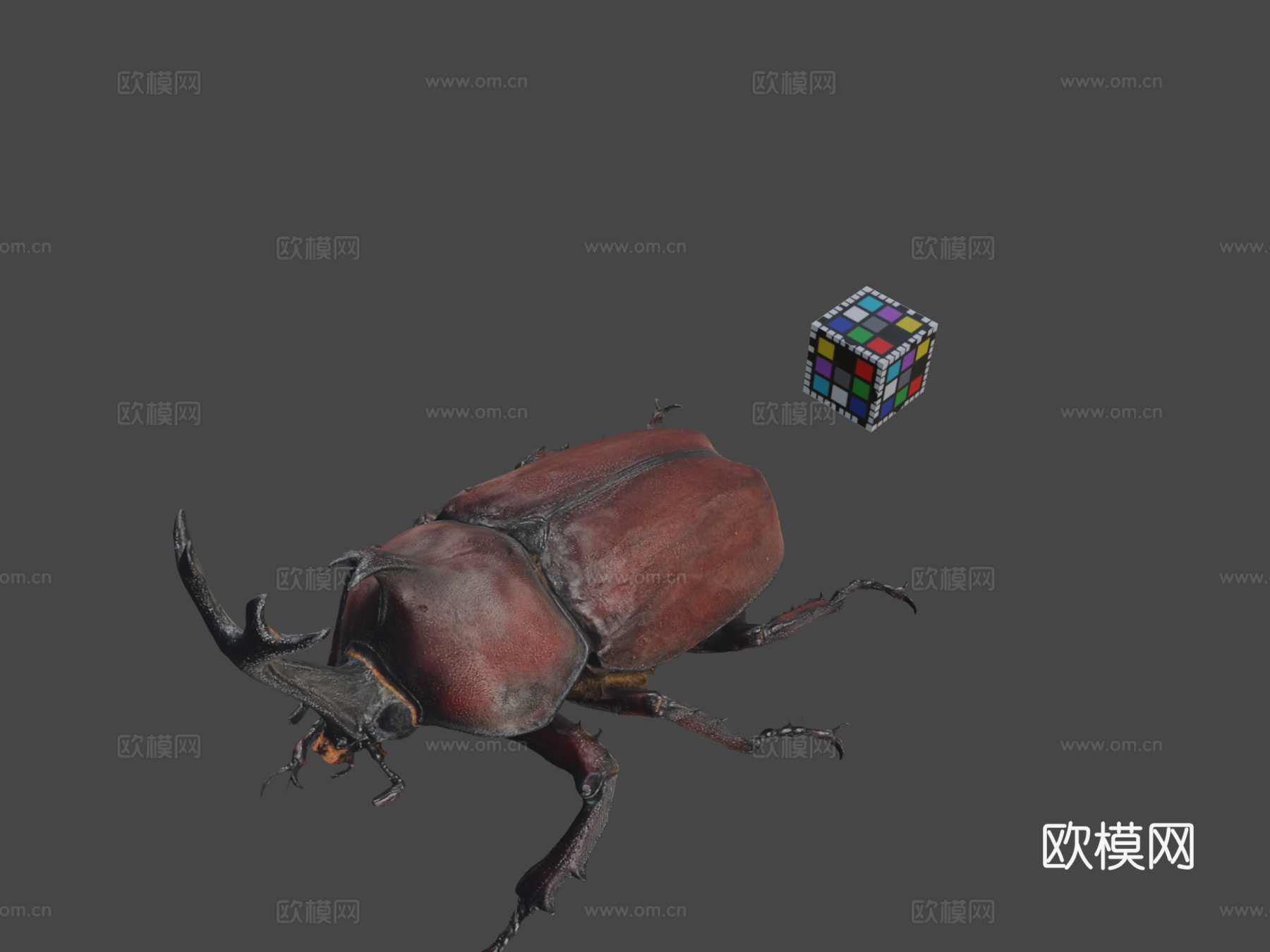 CC0独角仙♂日本犀金龟3d模型
