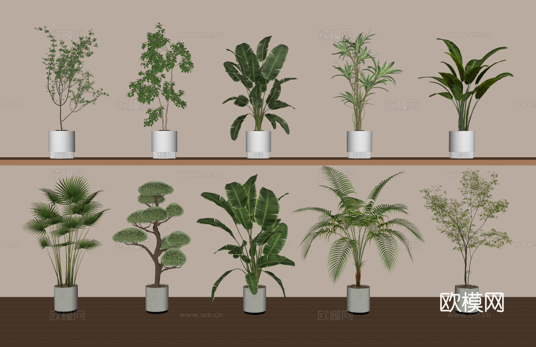 绿植盆栽组合su模型