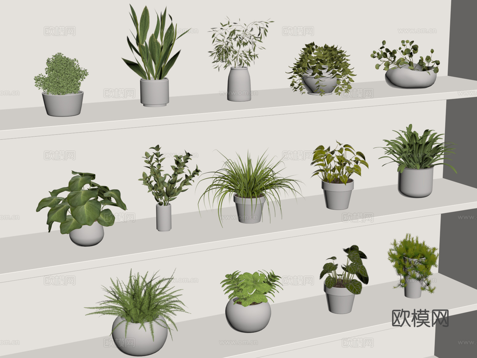 现代盆栽 绿植su模型