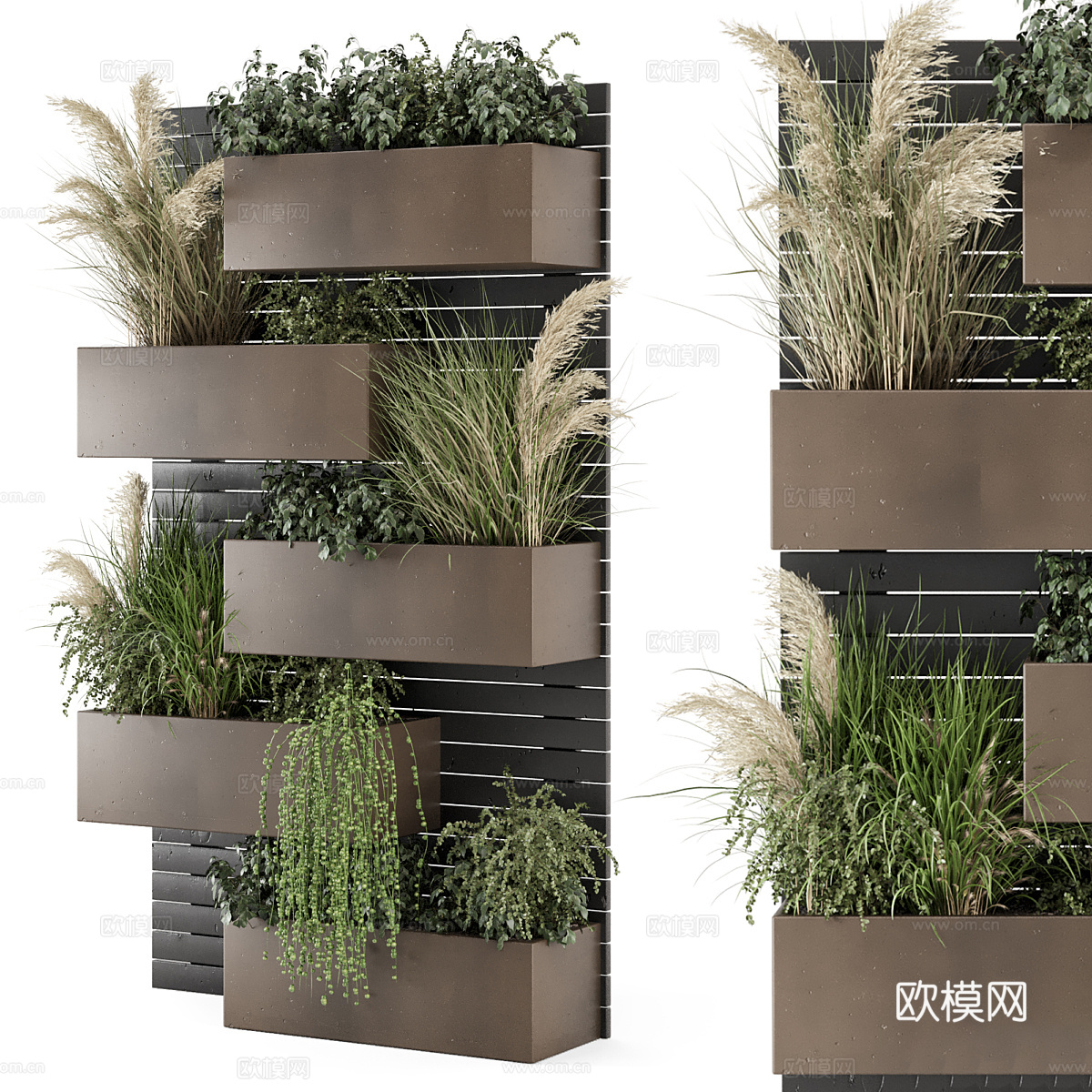 现代意式绿植墙 植物墙3d模型