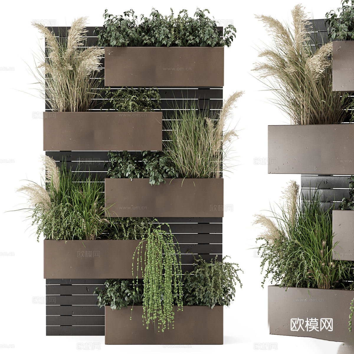 现代意式绿植墙 植物墙3d模型