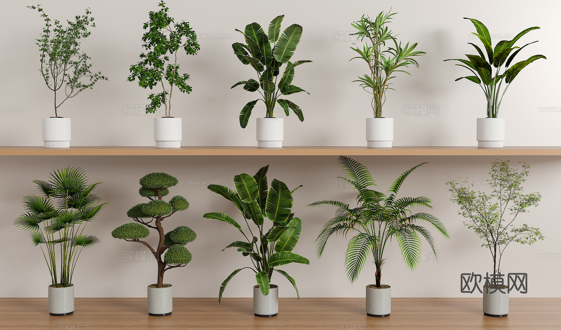 绿植盆栽组合3d模型